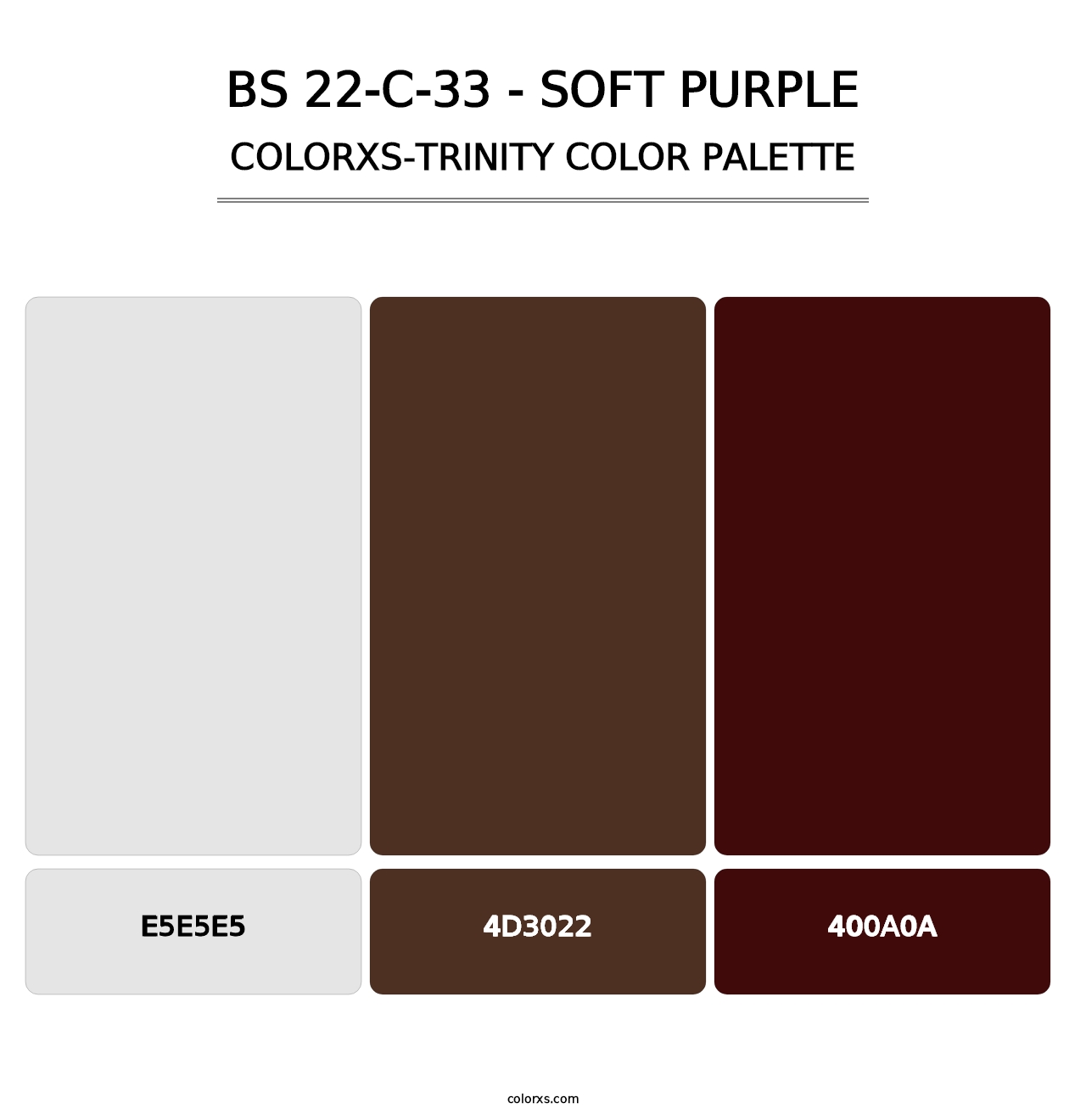 BS 22-C-33 - Soft Purple - Colorxs Trinity Palette