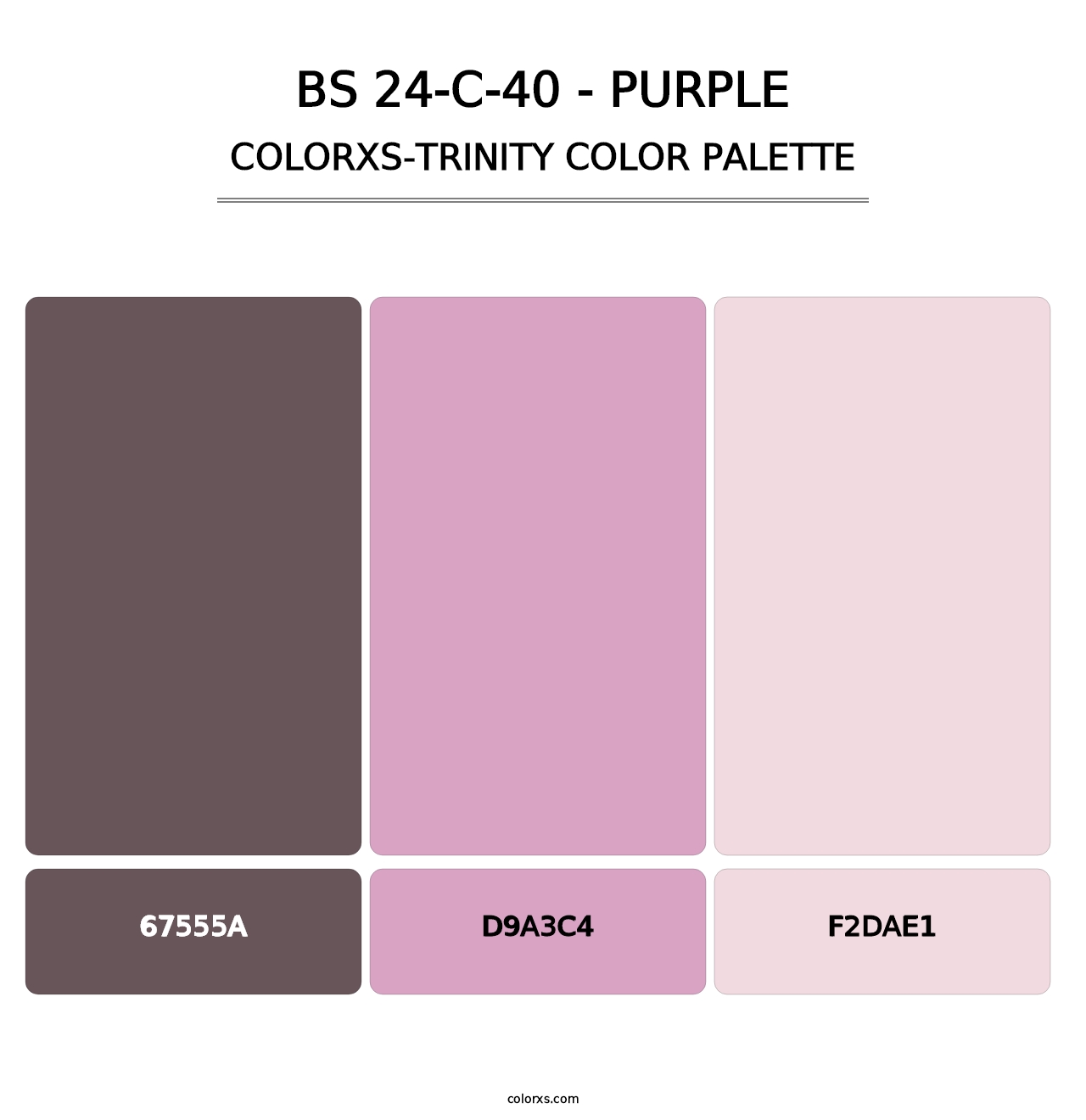 BS 24-C-40 - Purple - Colorxs Trinity Palette