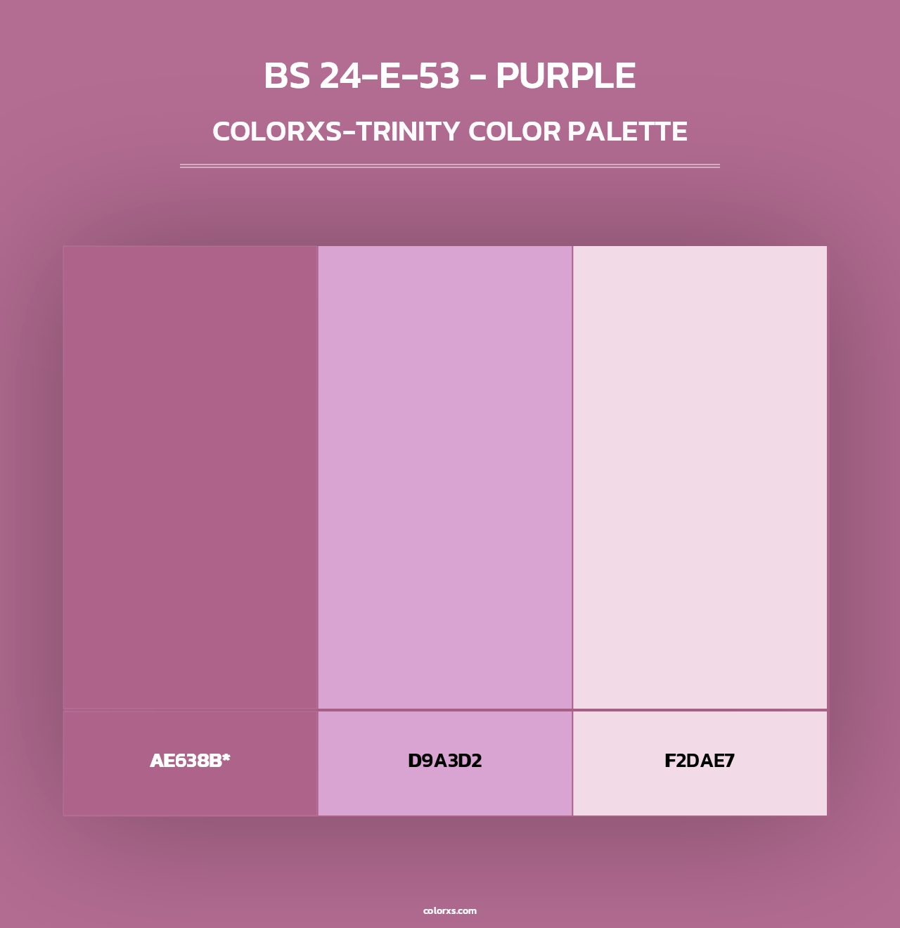 BS 24-E-53 - Purple - Colorxs Trinity Palette
