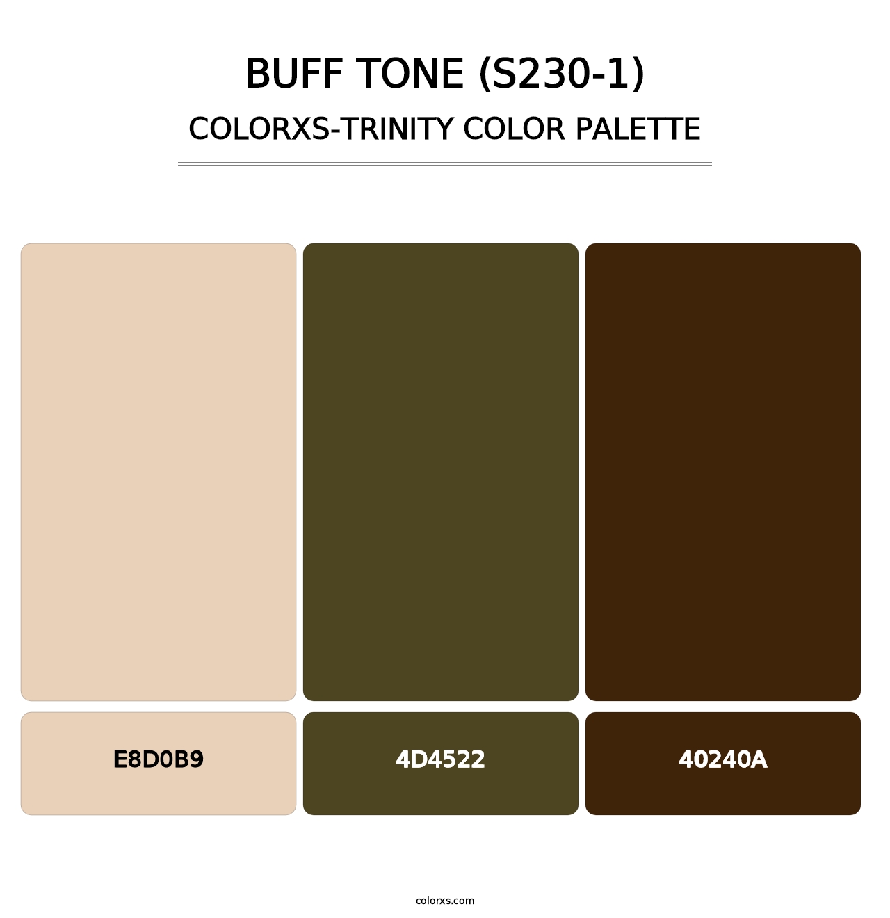 Buff Tone (S230-1) - Colorxs Trinity Palette