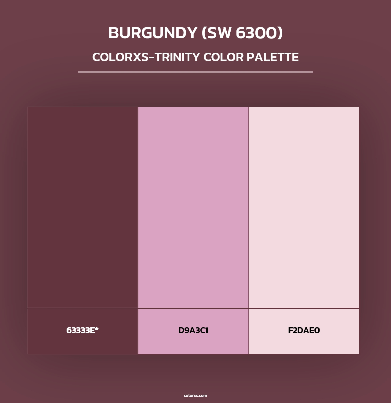 Burgundy (SW 6300) - Colorxs Trinity Palette