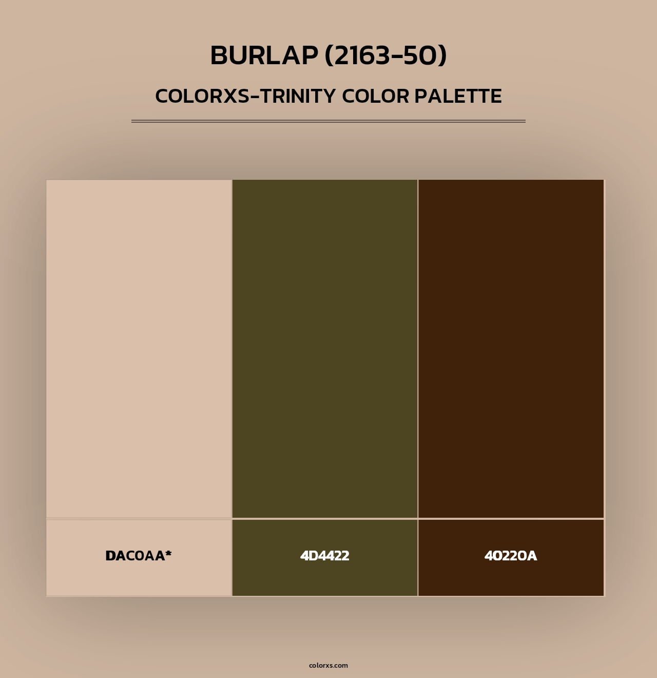 Burlap (2163-50) - Colorxs Trinity Palette