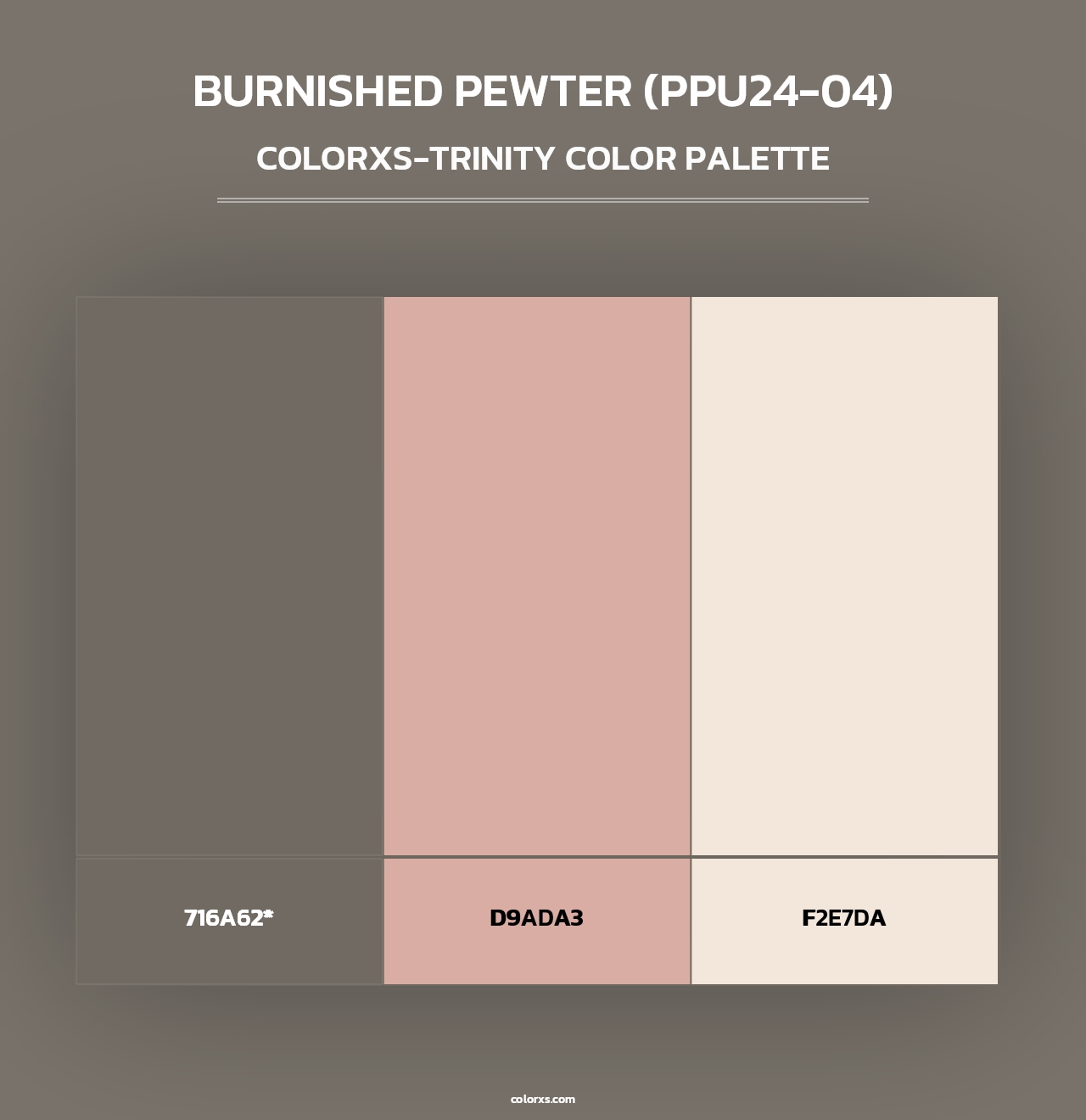 Burnished Pewter (PPU24-04) - Colorxs Trinity Palette