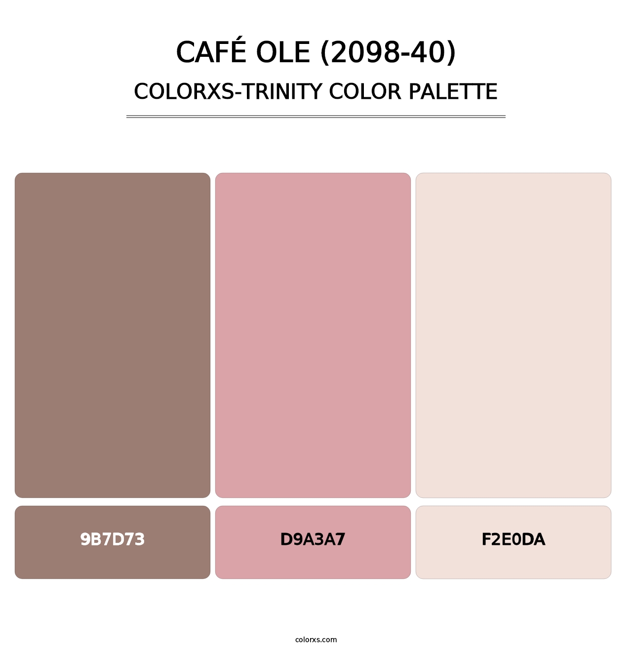 Café Ole (2098-40) - Colorxs Trinity Palette