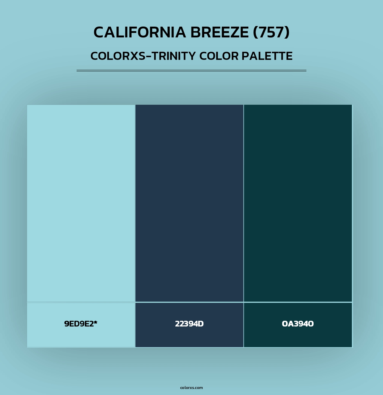 California Breeze (757) - Colorxs Trinity Palette
