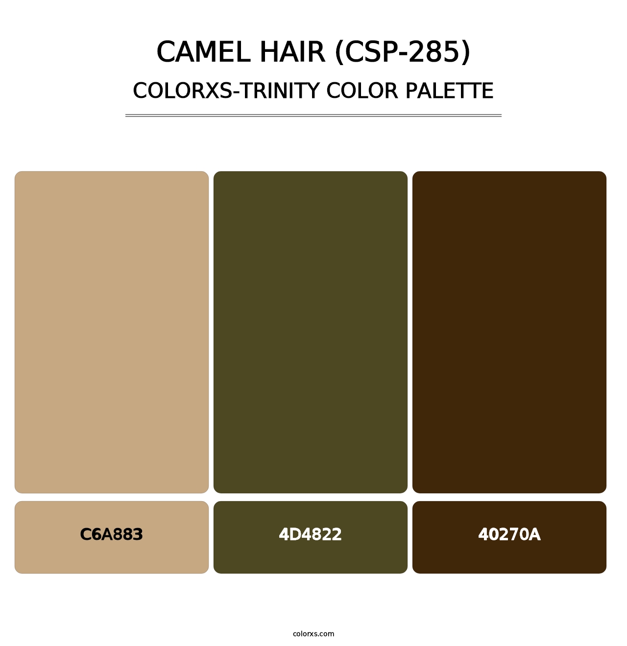 Camel Hair (CSP-285) - Colorxs Trinity Palette