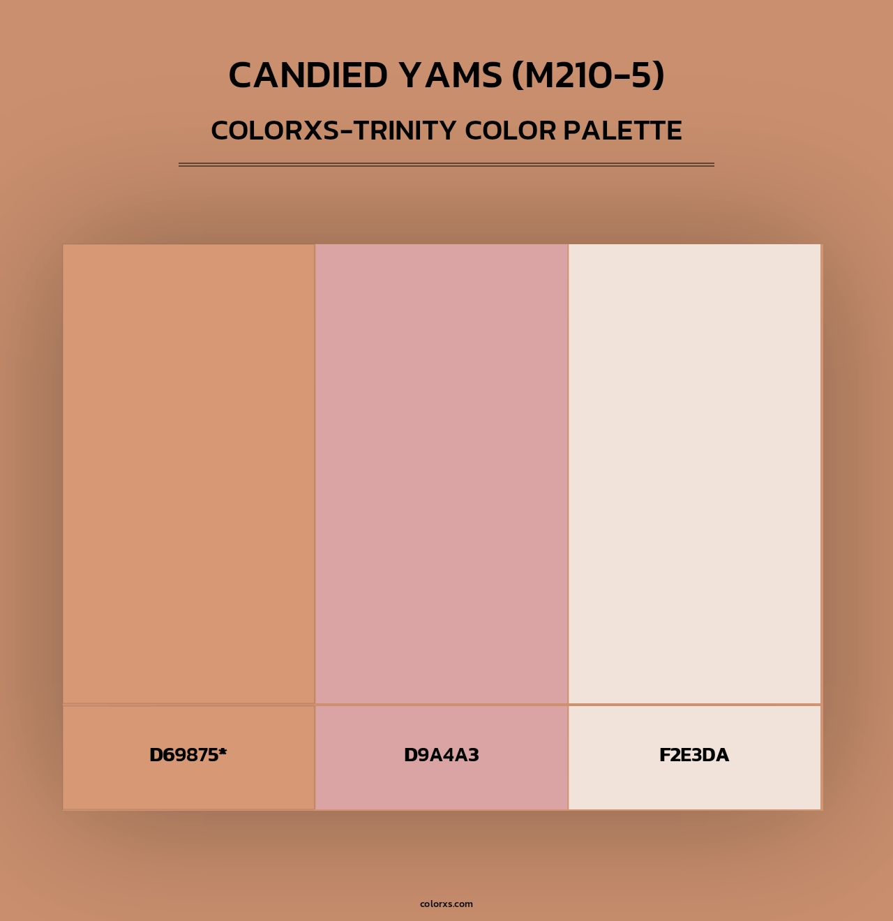 Candied Yams (M210-5) - Colorxs Trinity Palette