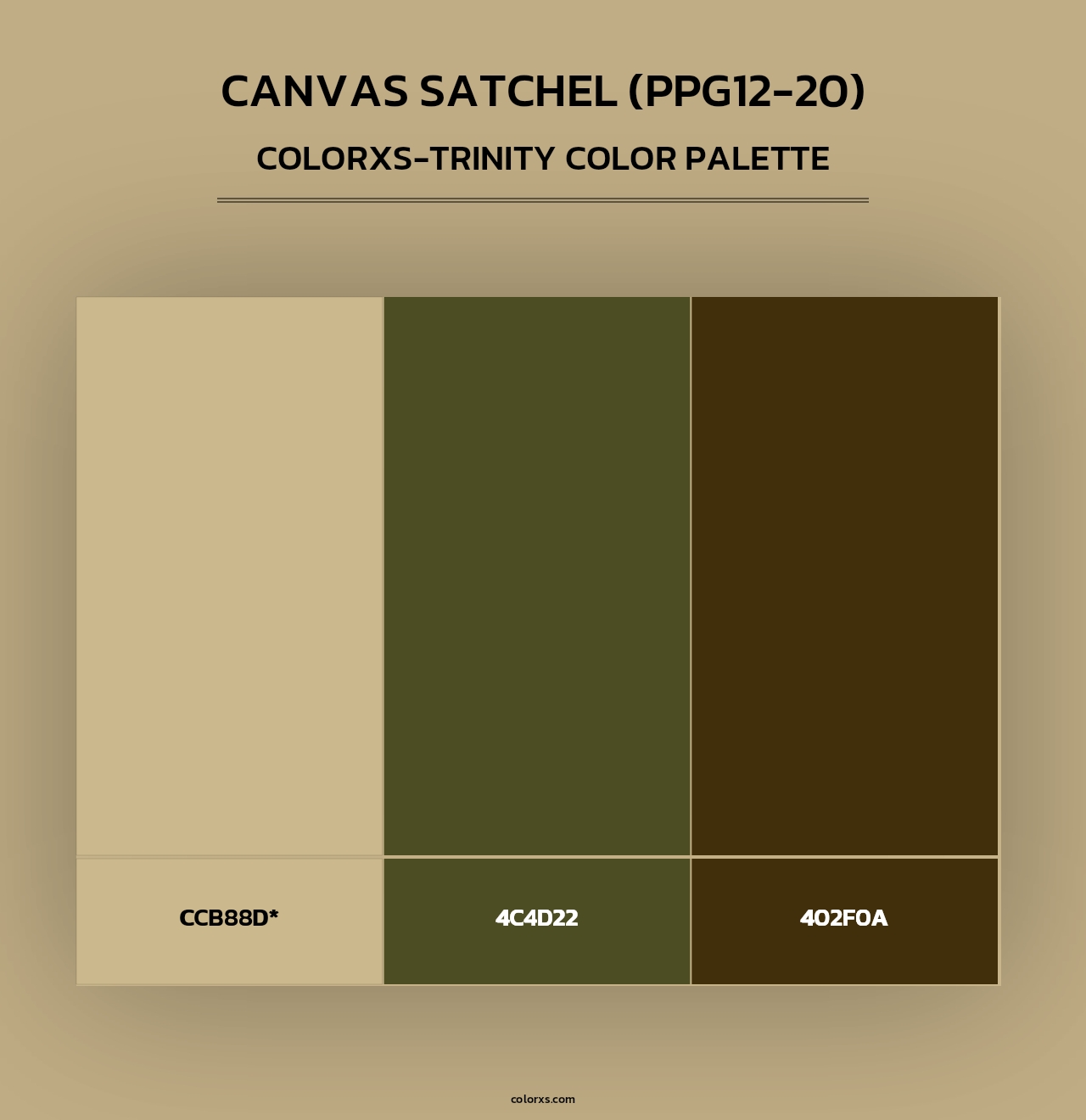 Canvas Satchel (PPG12-20) - Colorxs Trinity Palette