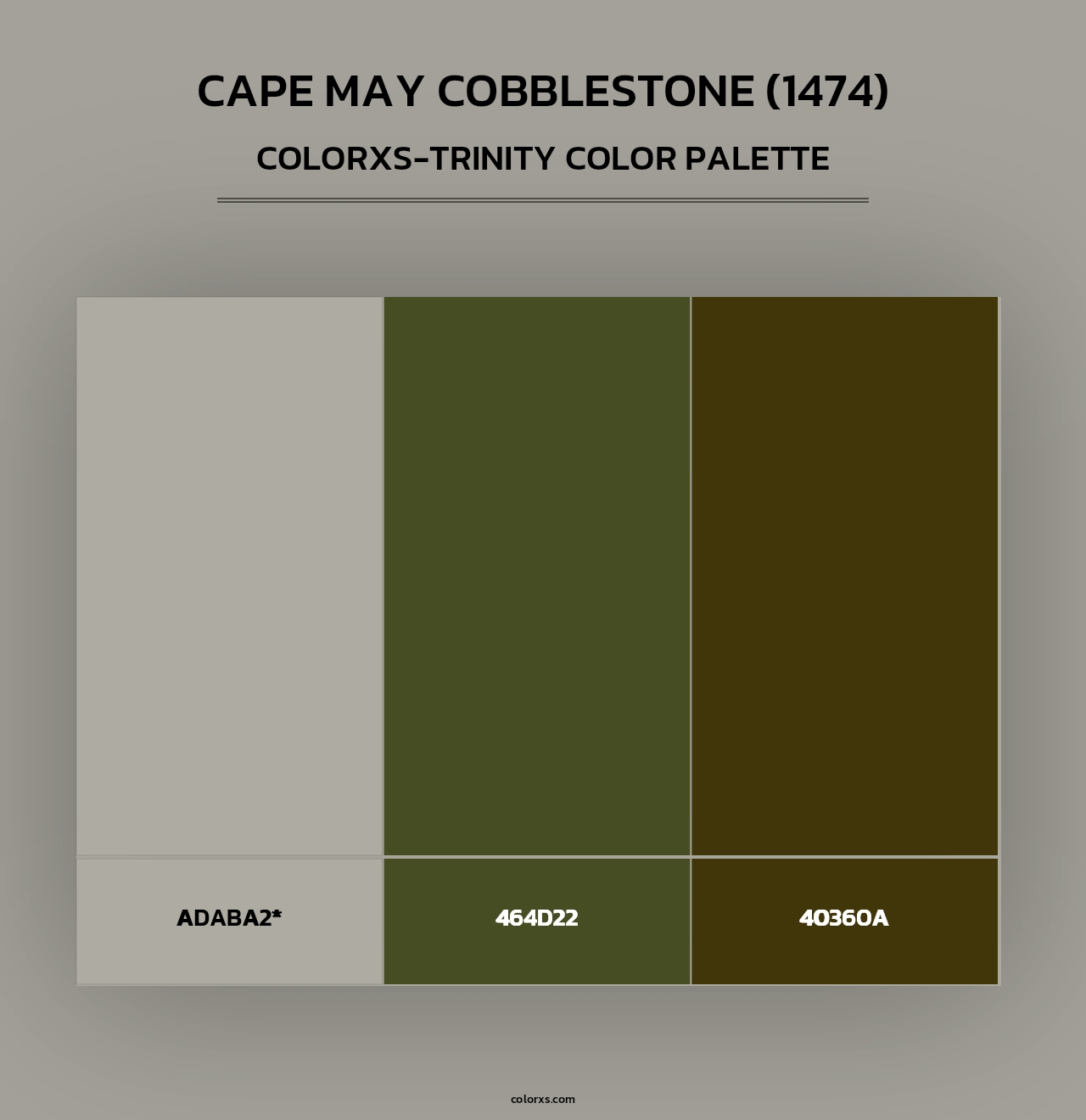 Cape May Cobblestone (1474) - Colorxs Trinity Palette