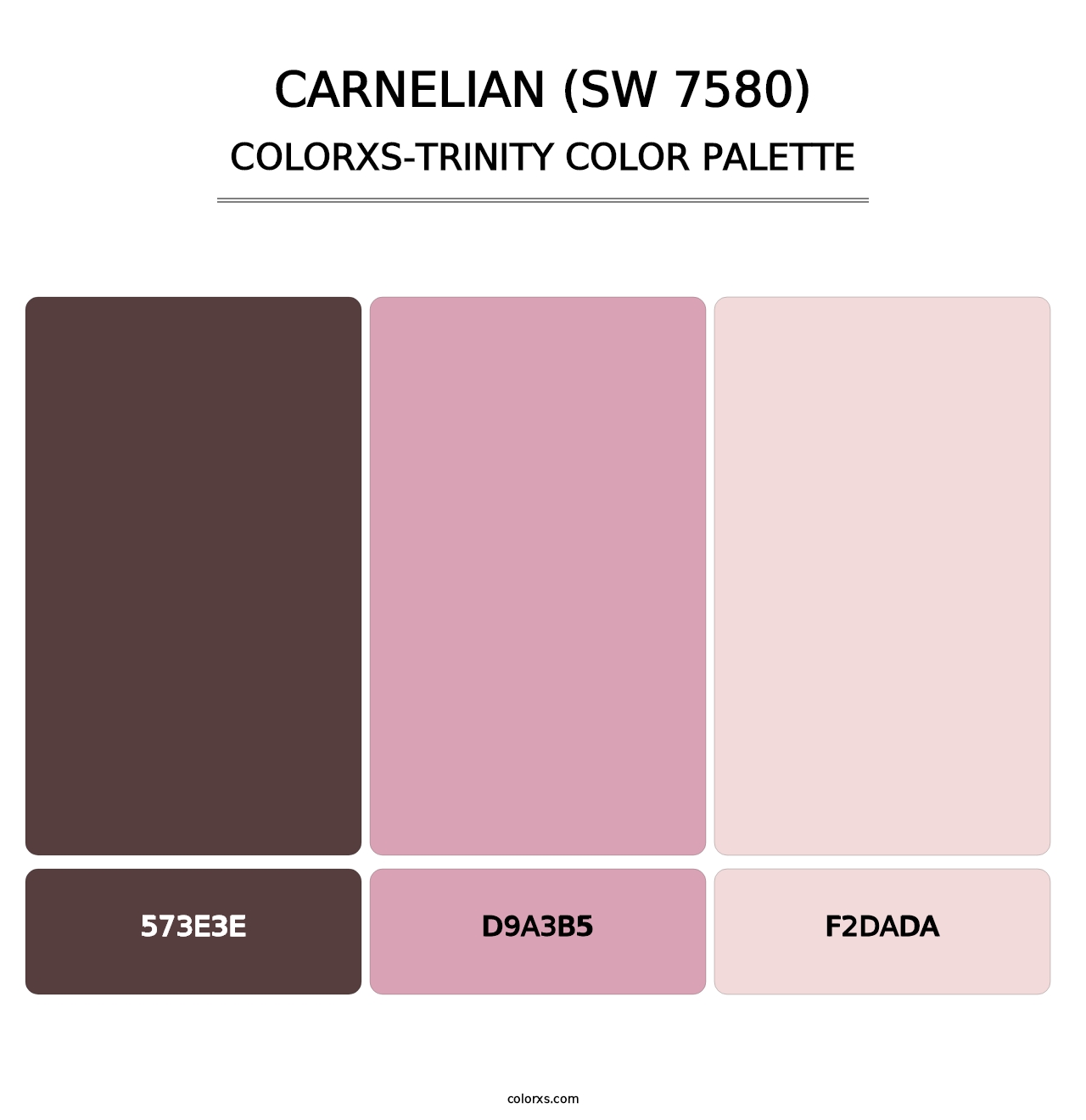 Carnelian (SW 7580) - Colorxs Trinity Palette