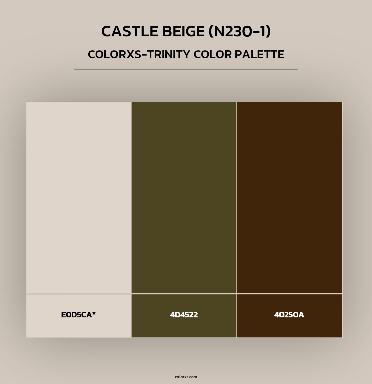 Castle Beige (N230-1) - Colorxs Trinity Palette
