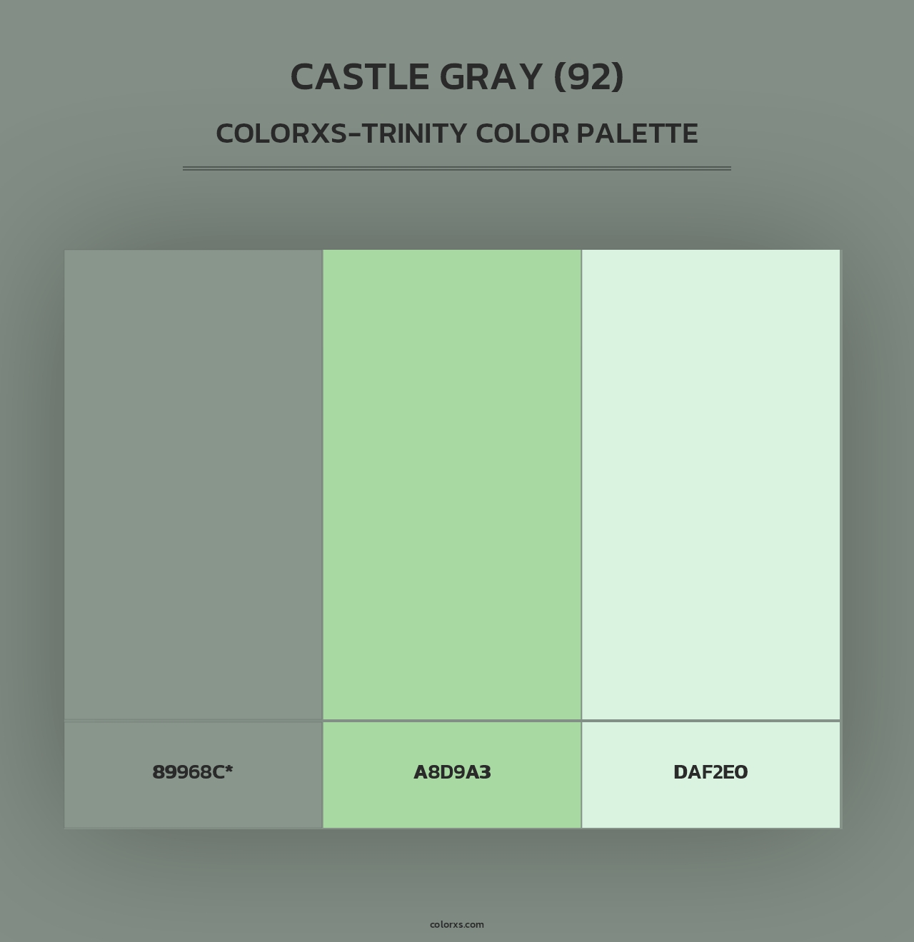 Castle Gray (92) - Colorxs Trinity Palette