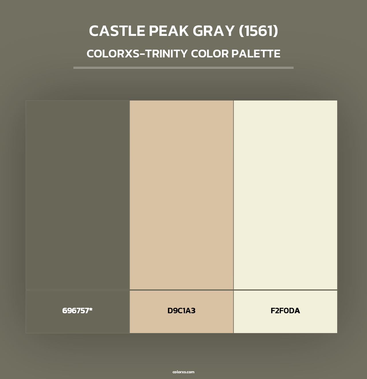 Castle Peak Gray (1561) - Colorxs Trinity Palette