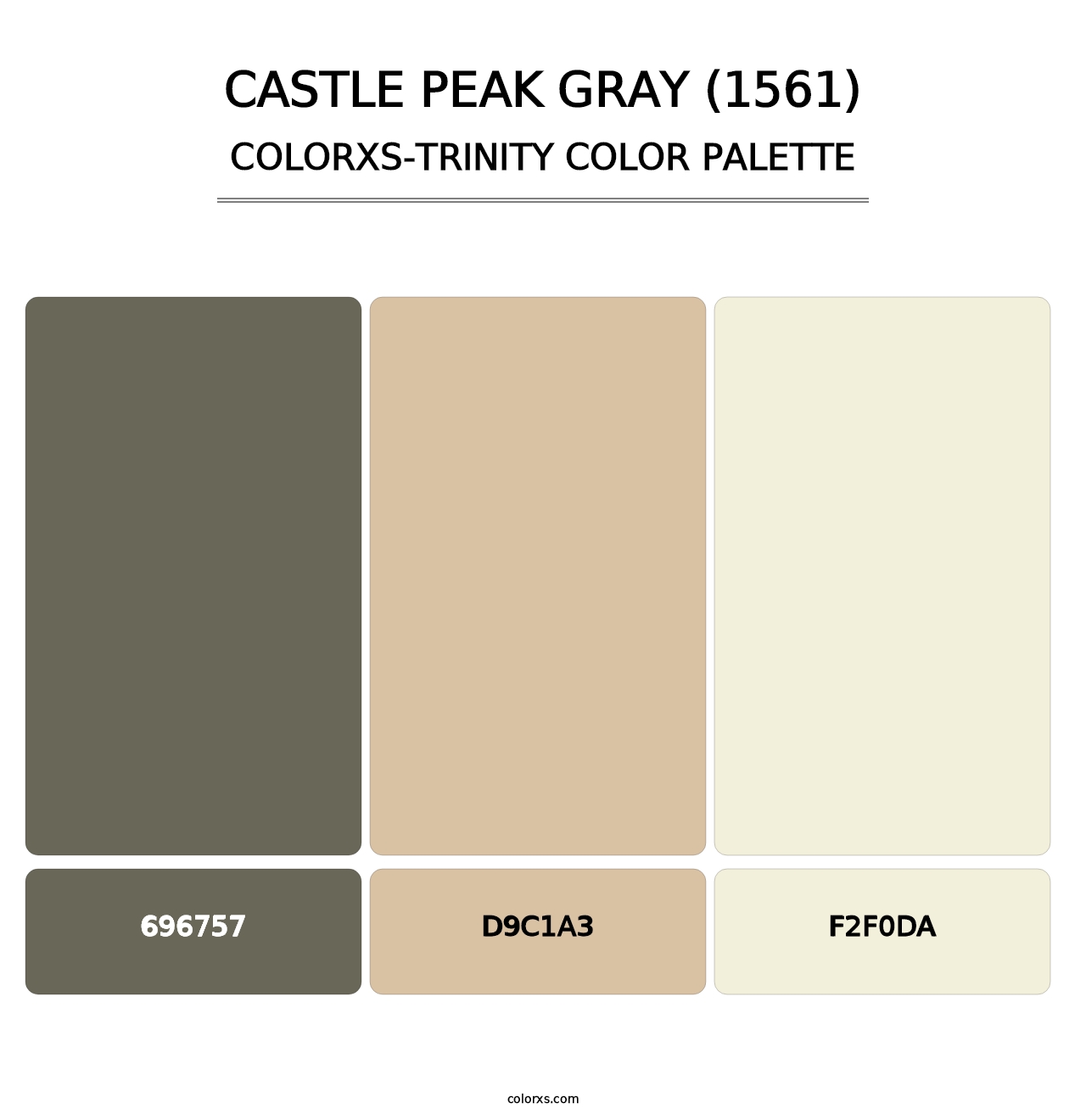 Castle Peak Gray (1561) - Colorxs Trinity Palette