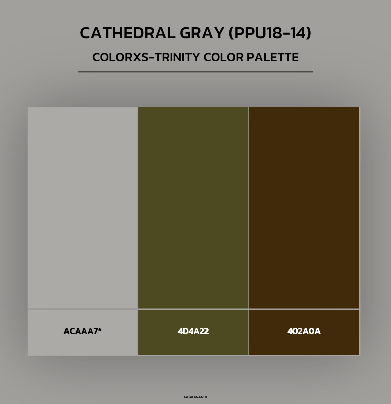 Cathedral Gray (PPU18-14) - Colorxs Trinity Palette