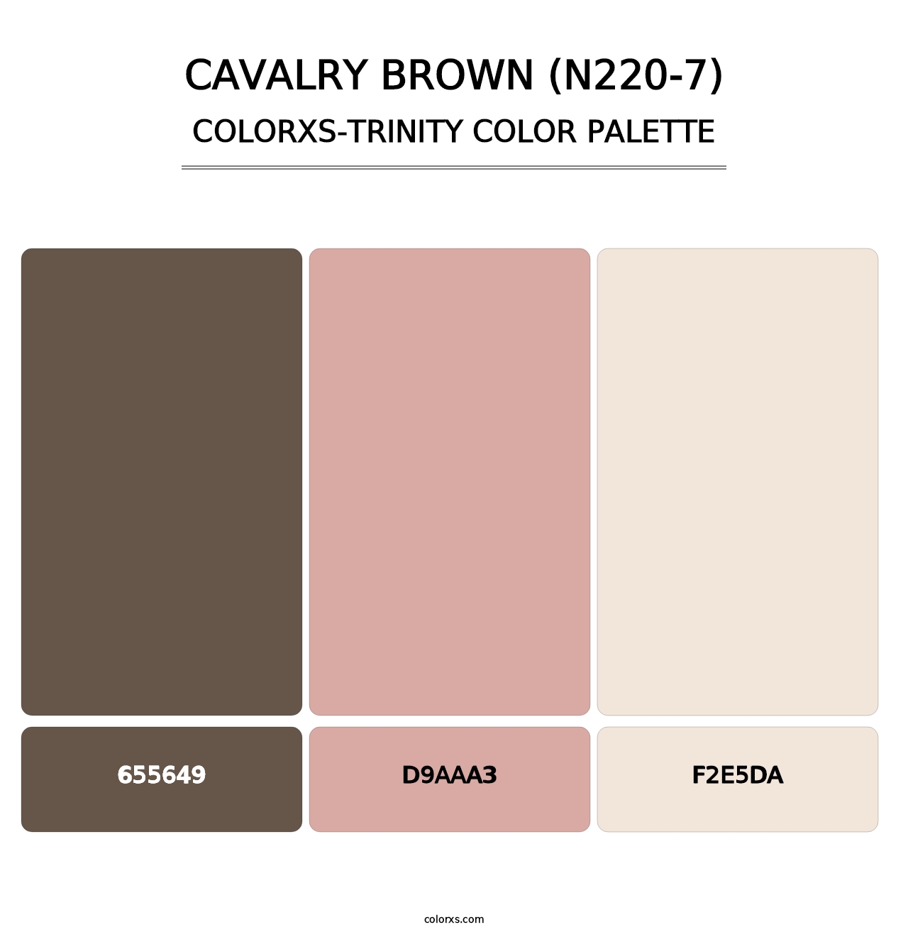 Cavalry Brown (N220-7) - Colorxs Trinity Palette