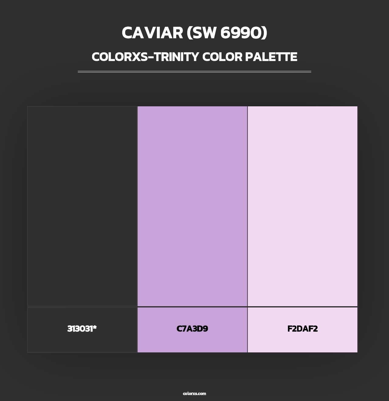 Caviar (SW 6990) - Colorxs Trinity Palette