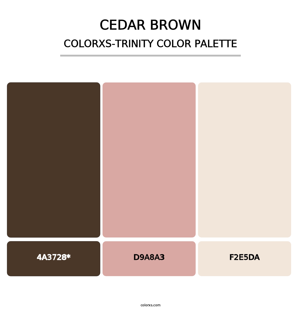 Cedar Brown - Colorxs Trinity Palette