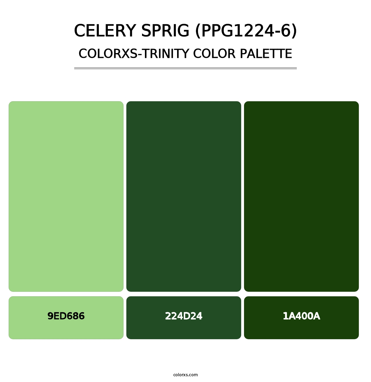 Celery Sprig (PPG1224-6) - Colorxs Trinity Palette