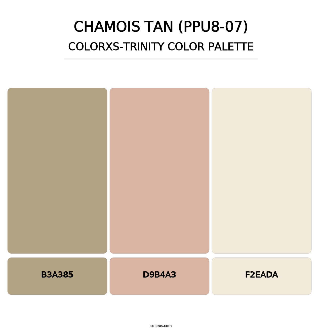 Chamois Tan (PPU8-07) - Colorxs Trinity Palette
