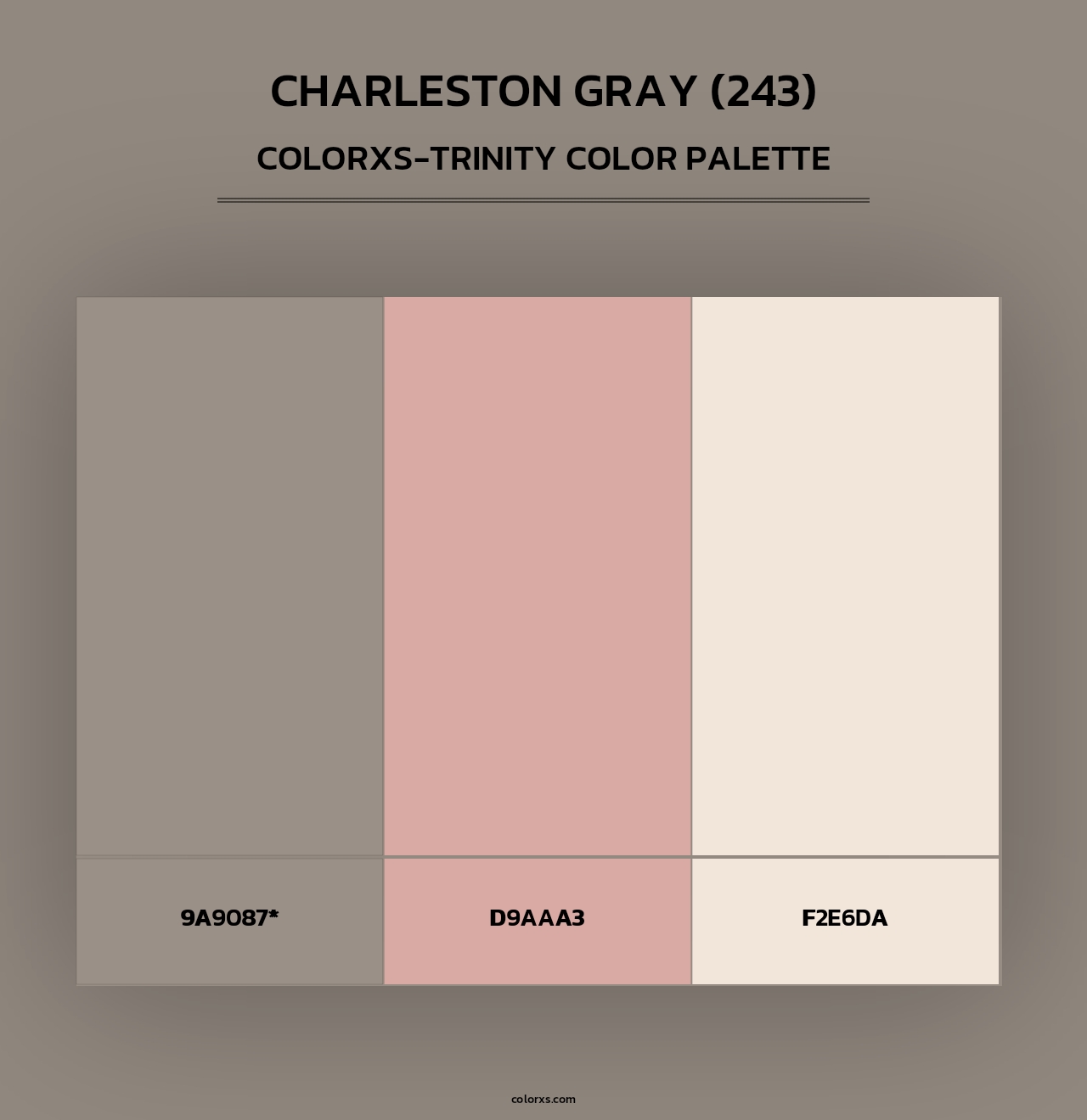 Charleston Gray (243) - Colorxs Trinity Palette