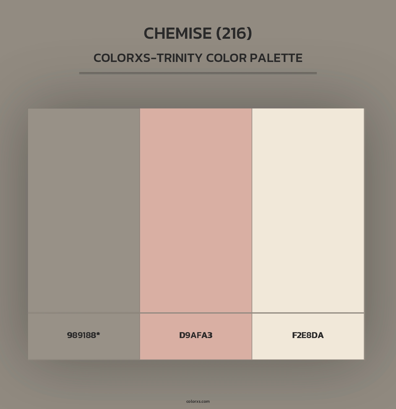 Chemise (216) - Colorxs Trinity Palette