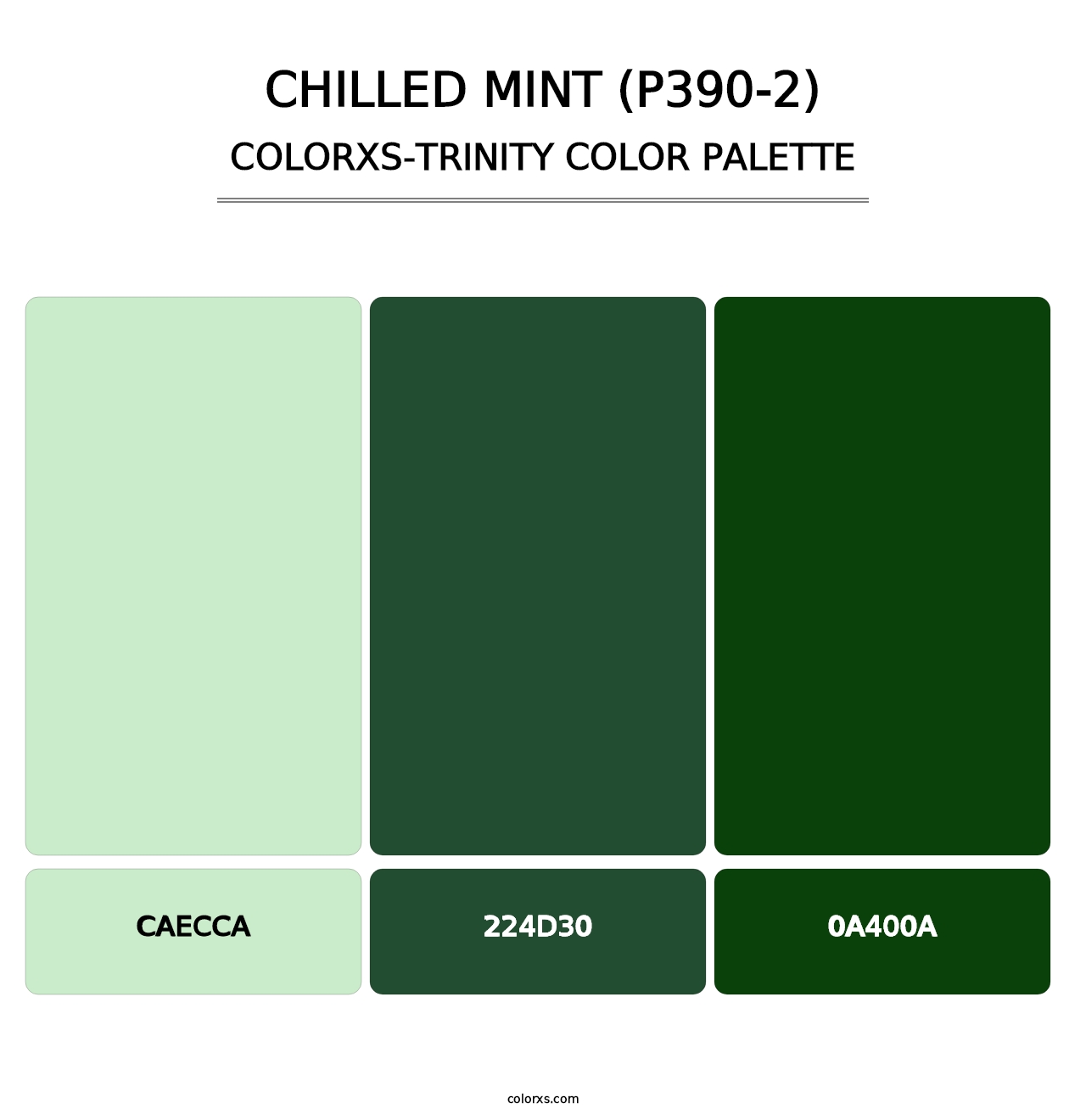 Chilled Mint (P390-2) - Colorxs Trinity Palette