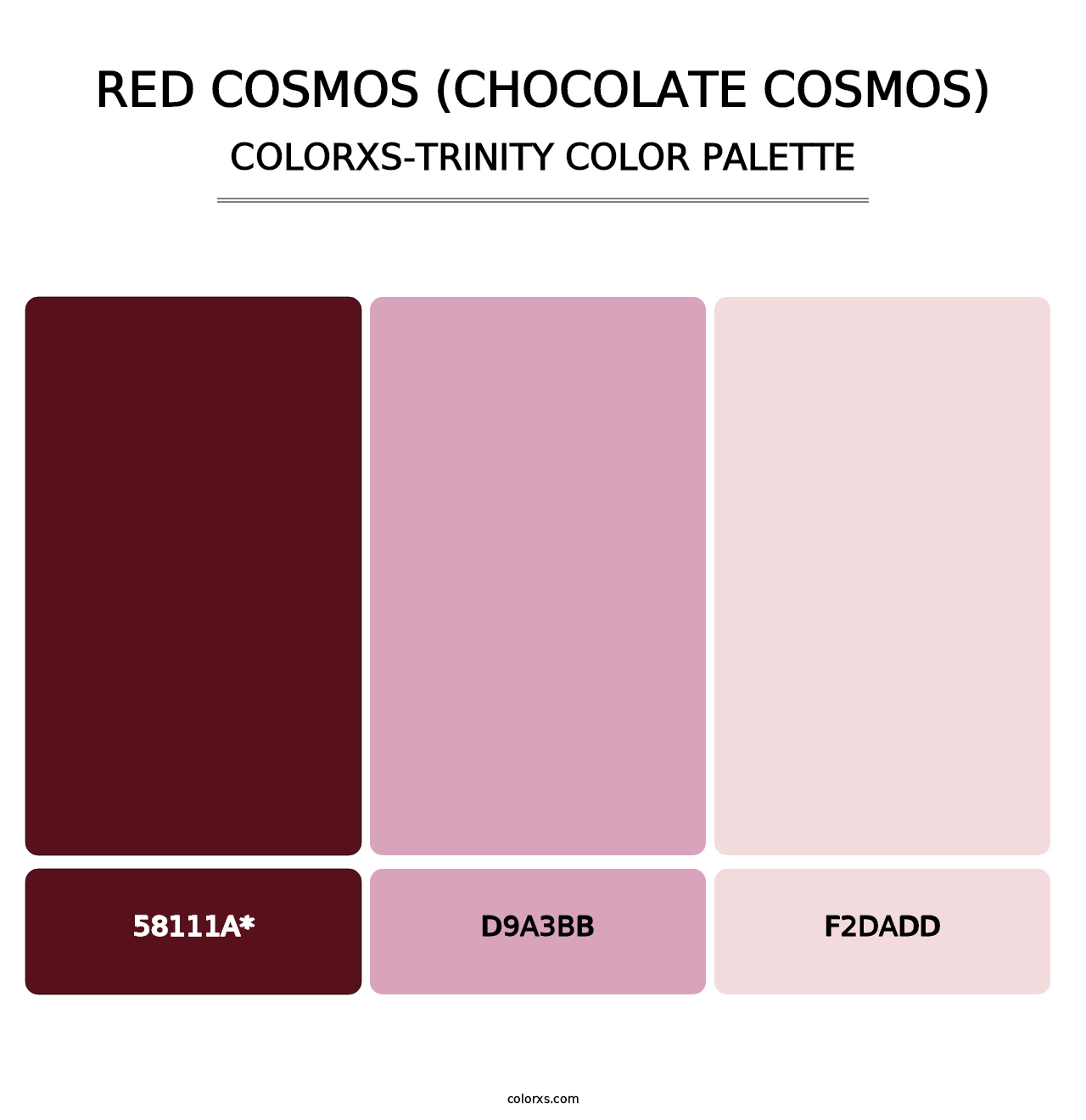 Red Cosmos (Chocolate Cosmos) - Colorxs Trinity Palette