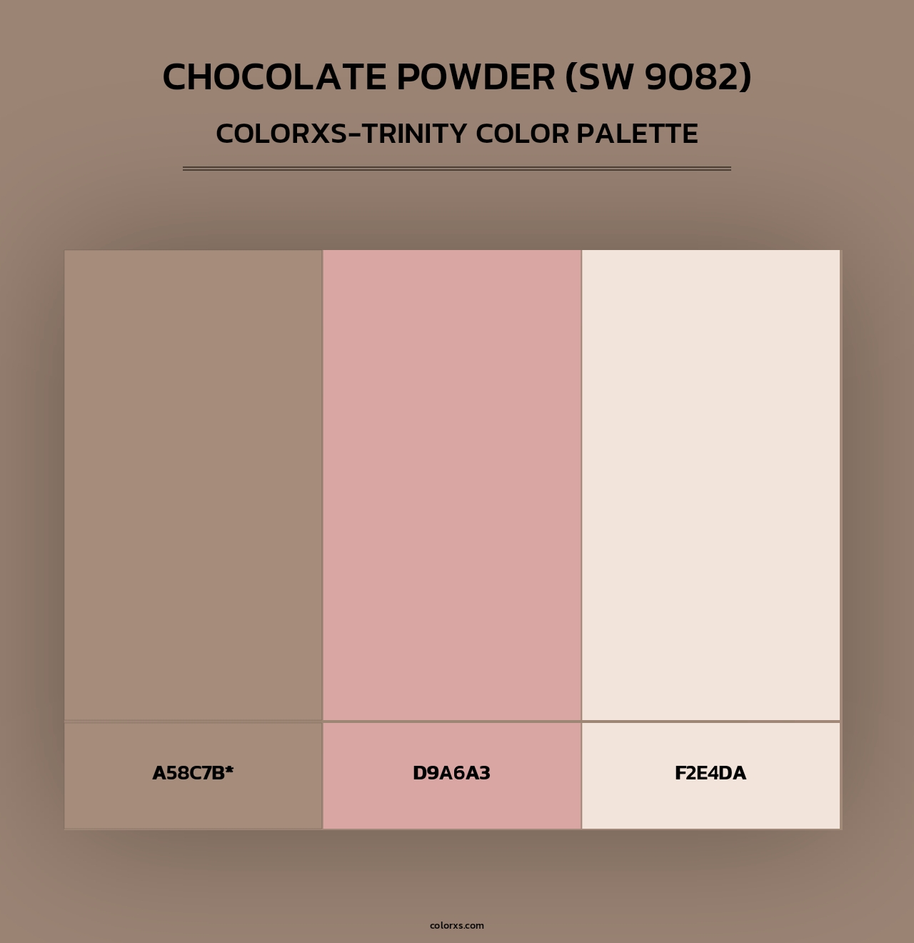 Chocolate Powder (SW 9082) - Colorxs Trinity Palette