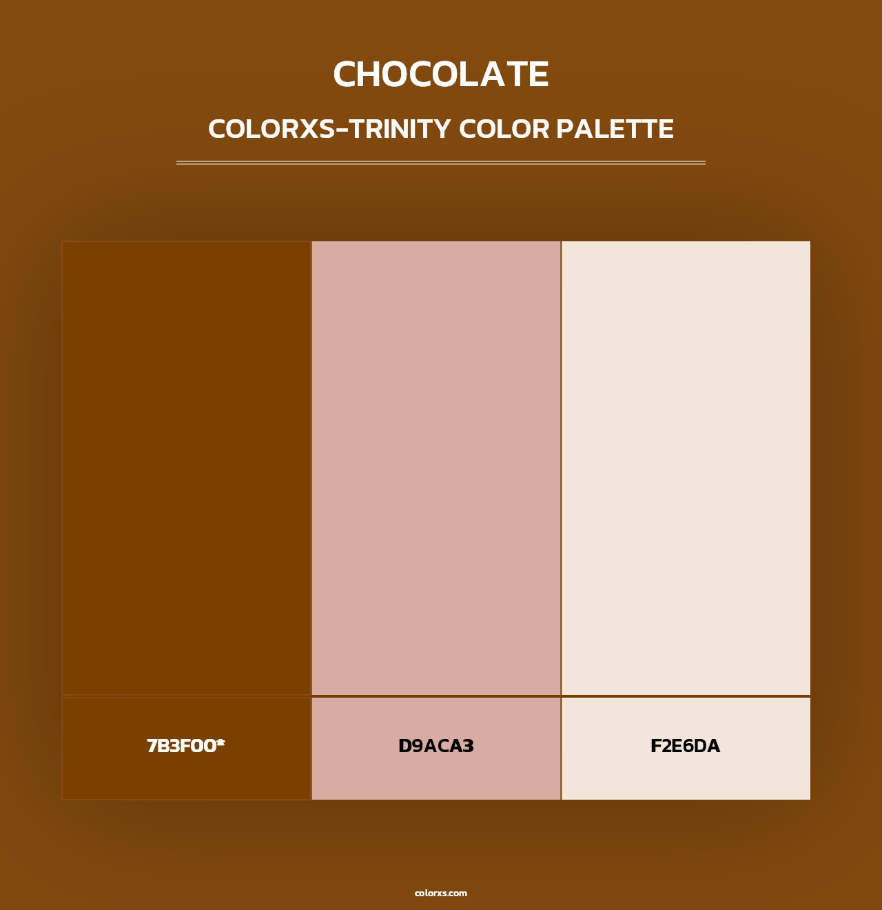 Chocolate - Colorxs Trinity Palette