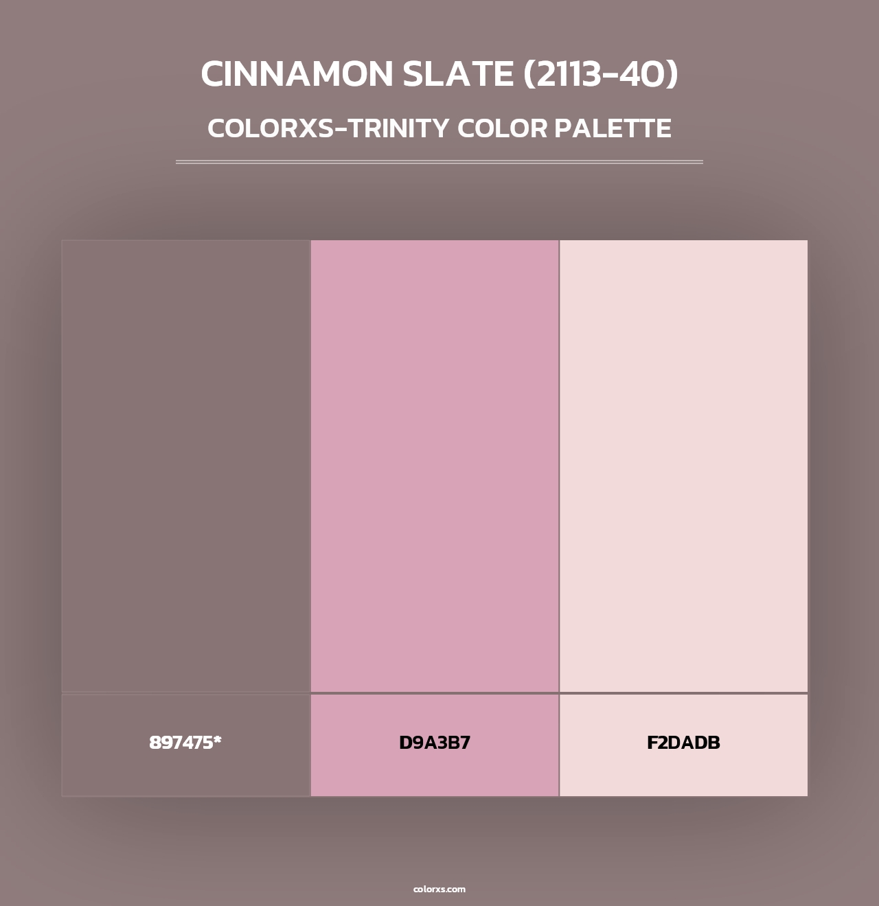Cinnamon Slate (2113-40) - Colorxs Trinity Palette