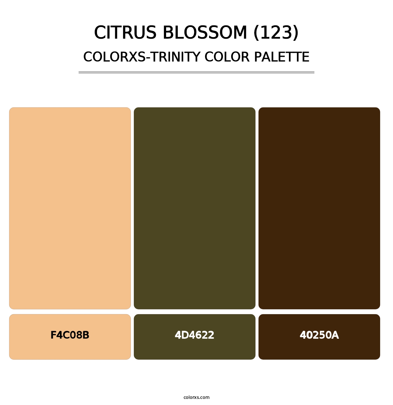 Citrus Blossom (123) - Colorxs Trinity Palette
