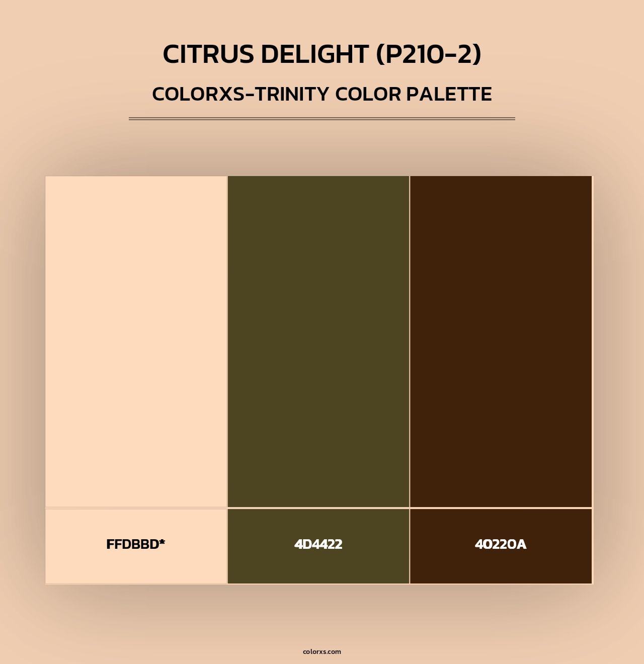 Citrus Delight (P210-2) - Colorxs Trinity Palette