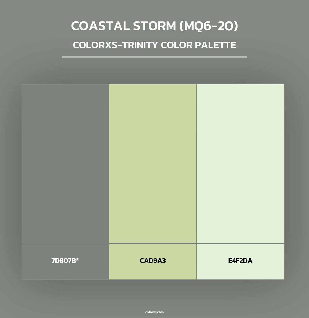 Coastal Storm (MQ6-20) - Colorxs Trinity Palette