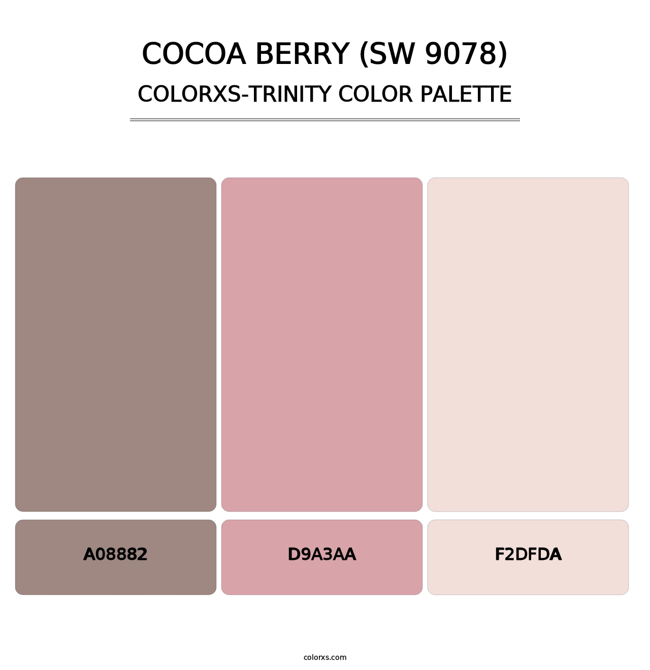 Cocoa Berry (SW 9078) - Colorxs Trinity Palette