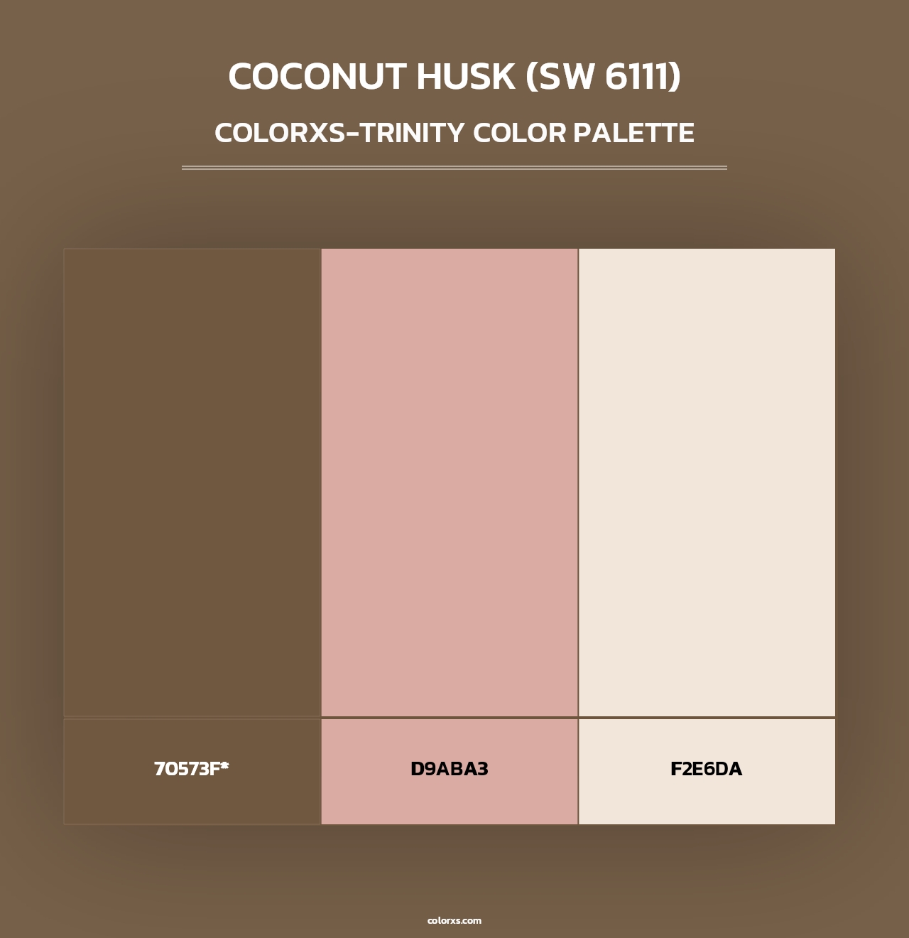 Coconut Husk (SW 6111) - Colorxs Trinity Palette