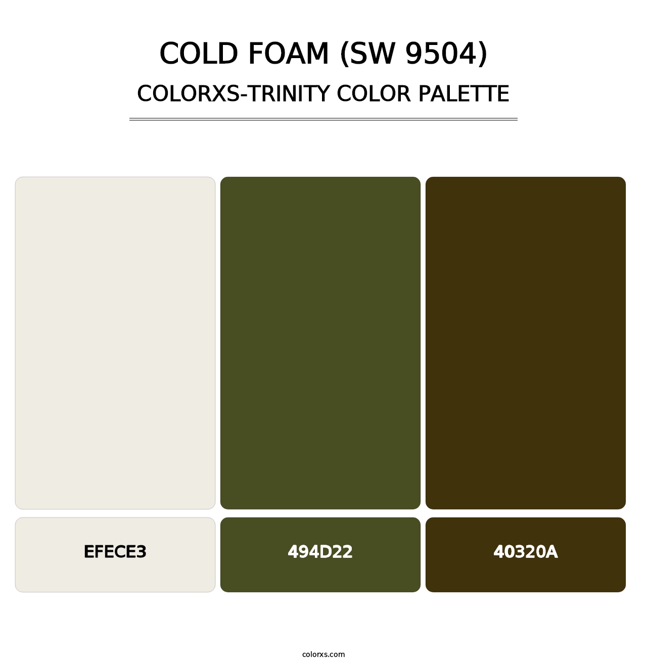 Cold Foam (SW 9504) - Colorxs Trinity Palette