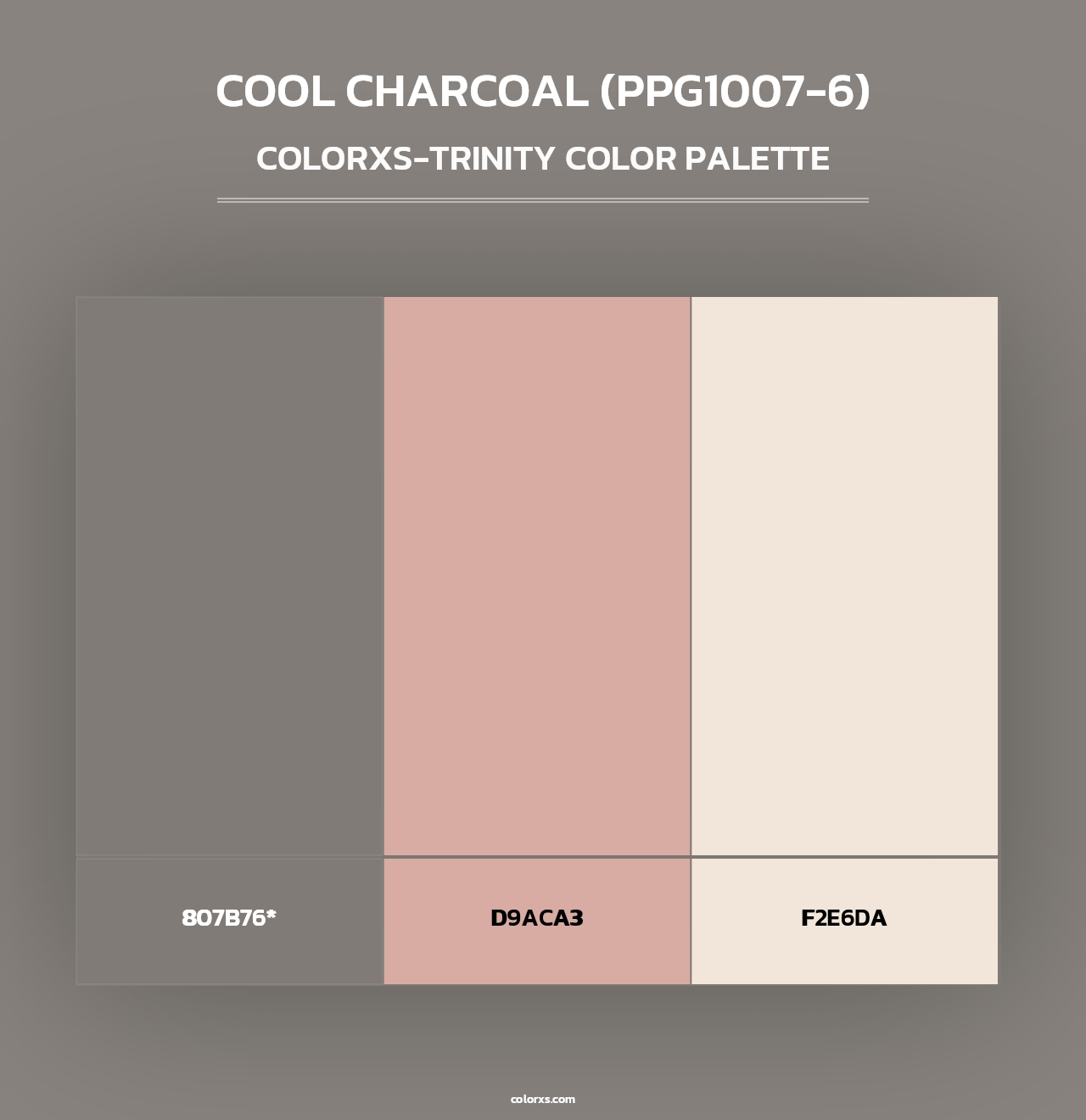 Cool Charcoal (PPG1007-6) - Colorxs Trinity Palette