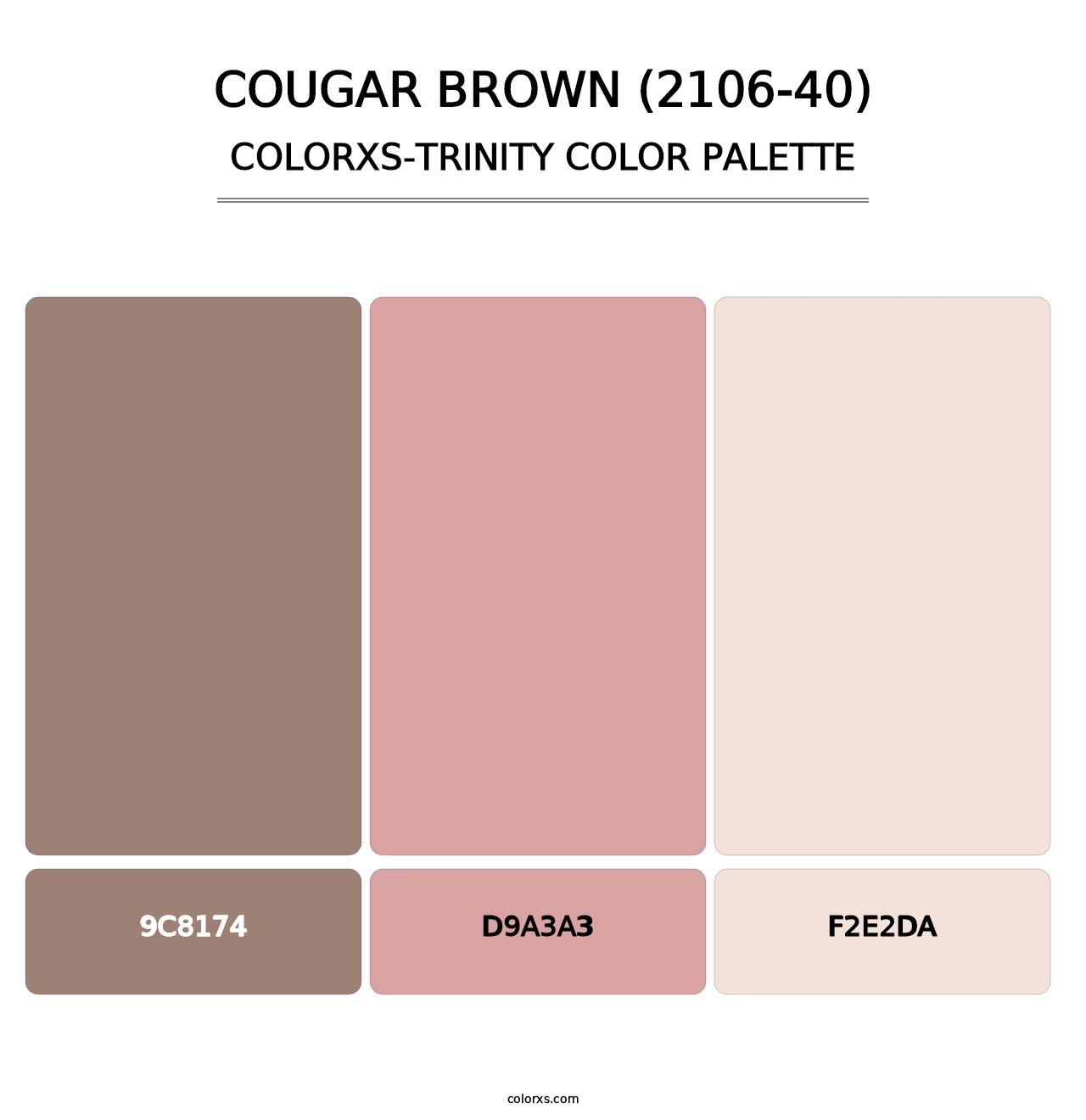 Cougar Brown (2106-40) - Colorxs Trinity Palette