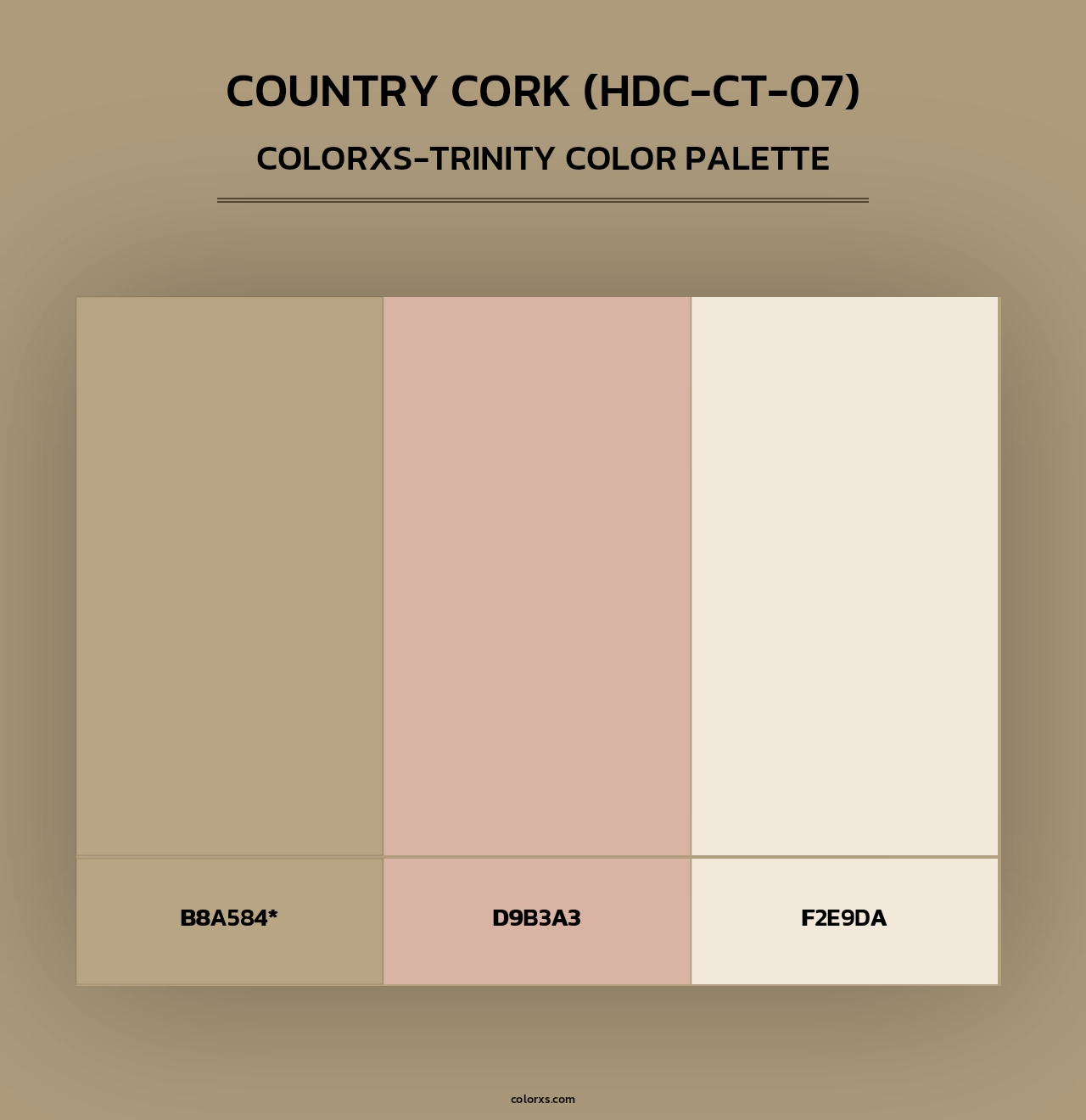 Country Cork (HDC-CT-07) - Colorxs Trinity Palette