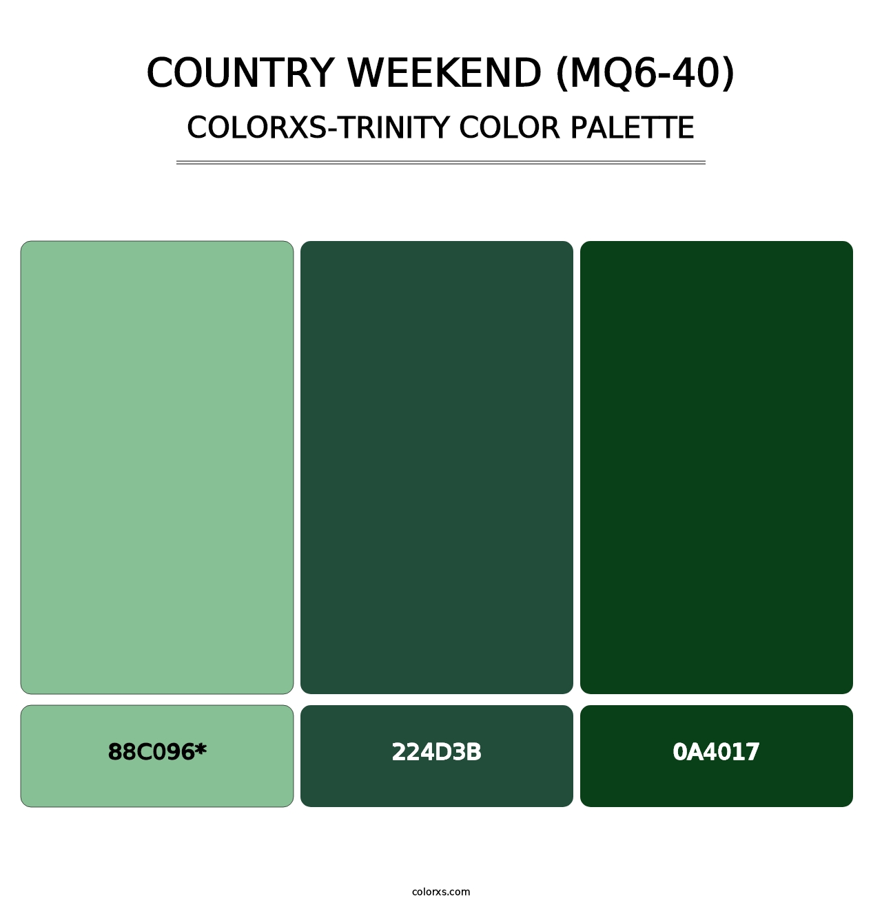 Country Weekend (MQ6-40) - Colorxs Trinity Palette