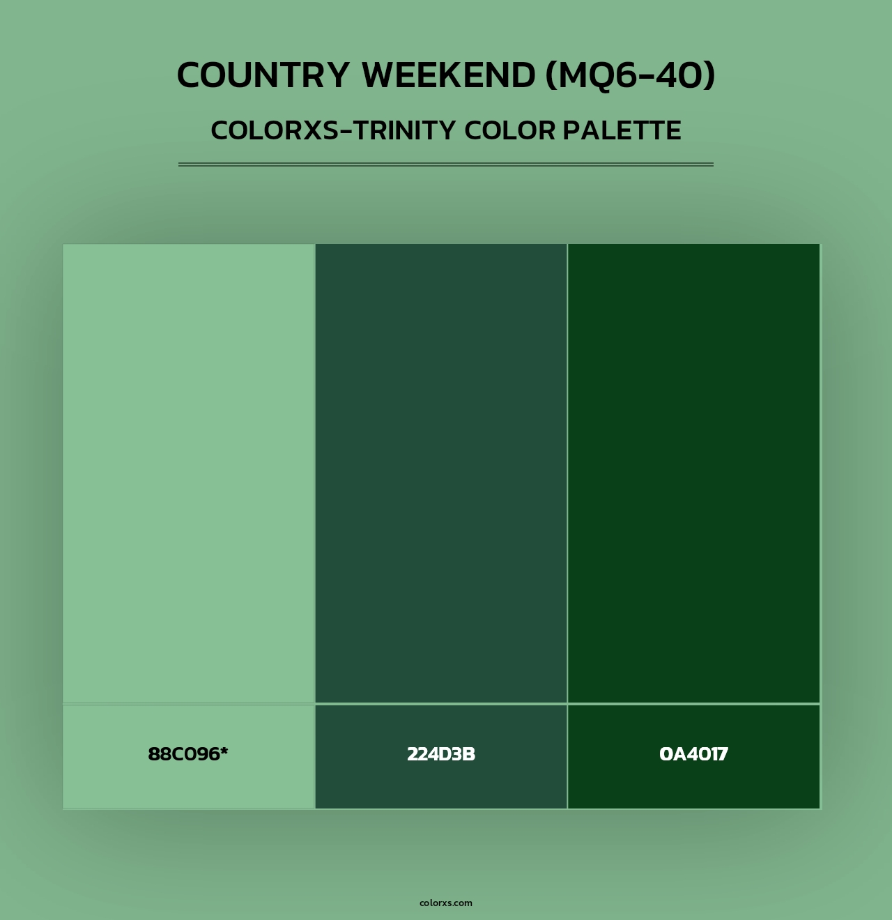 Country Weekend (MQ6-40) - Colorxs Trinity Palette