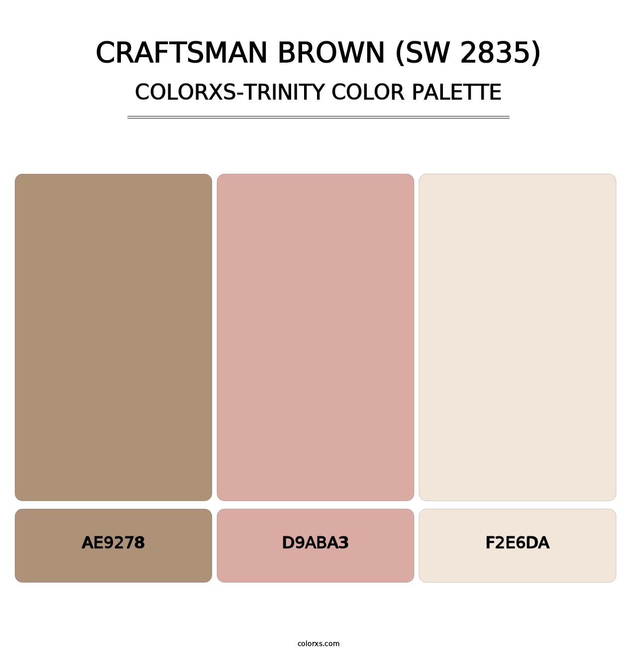 Craftsman Brown (SW 2835) - Colorxs Trinity Palette