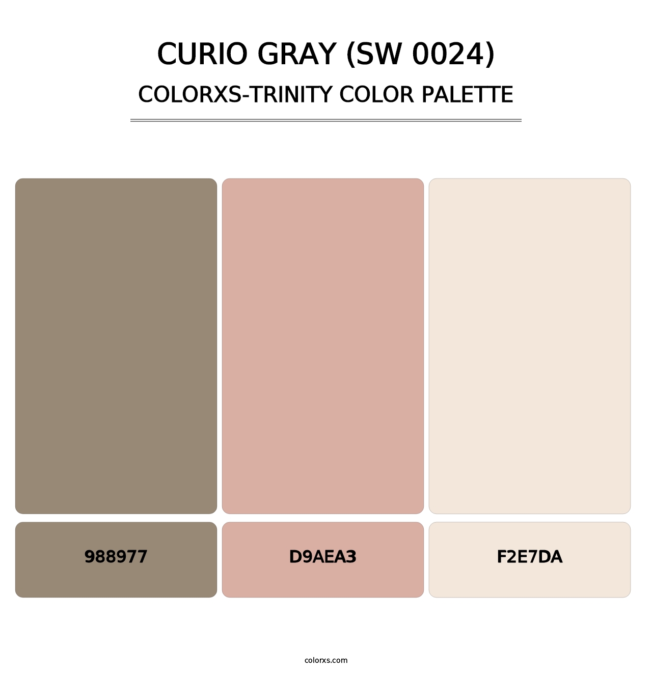 Curio Gray (SW 0024) - Colorxs Trinity Palette