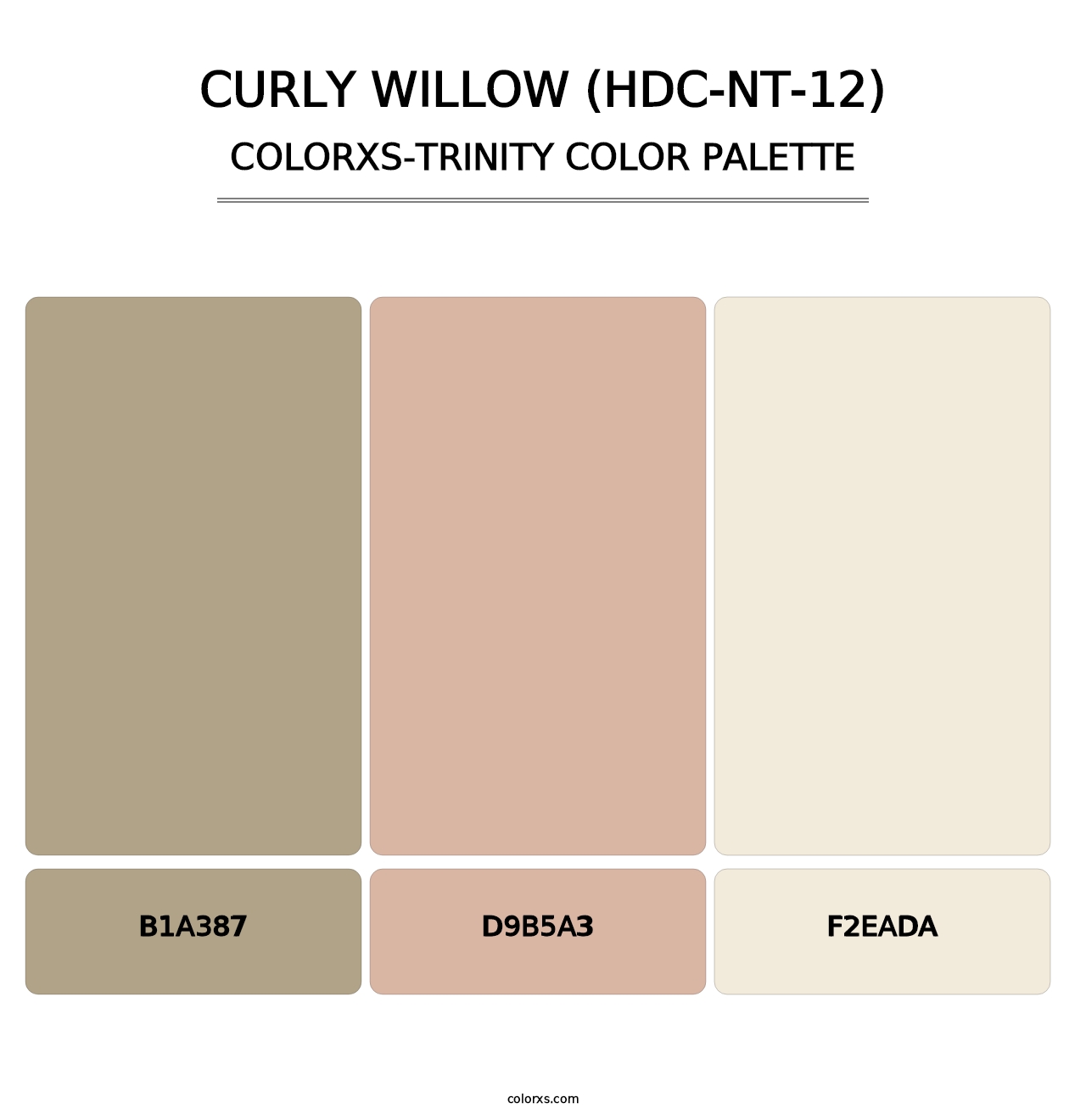 Curly Willow (HDC-NT-12) - Colorxs Trinity Palette
