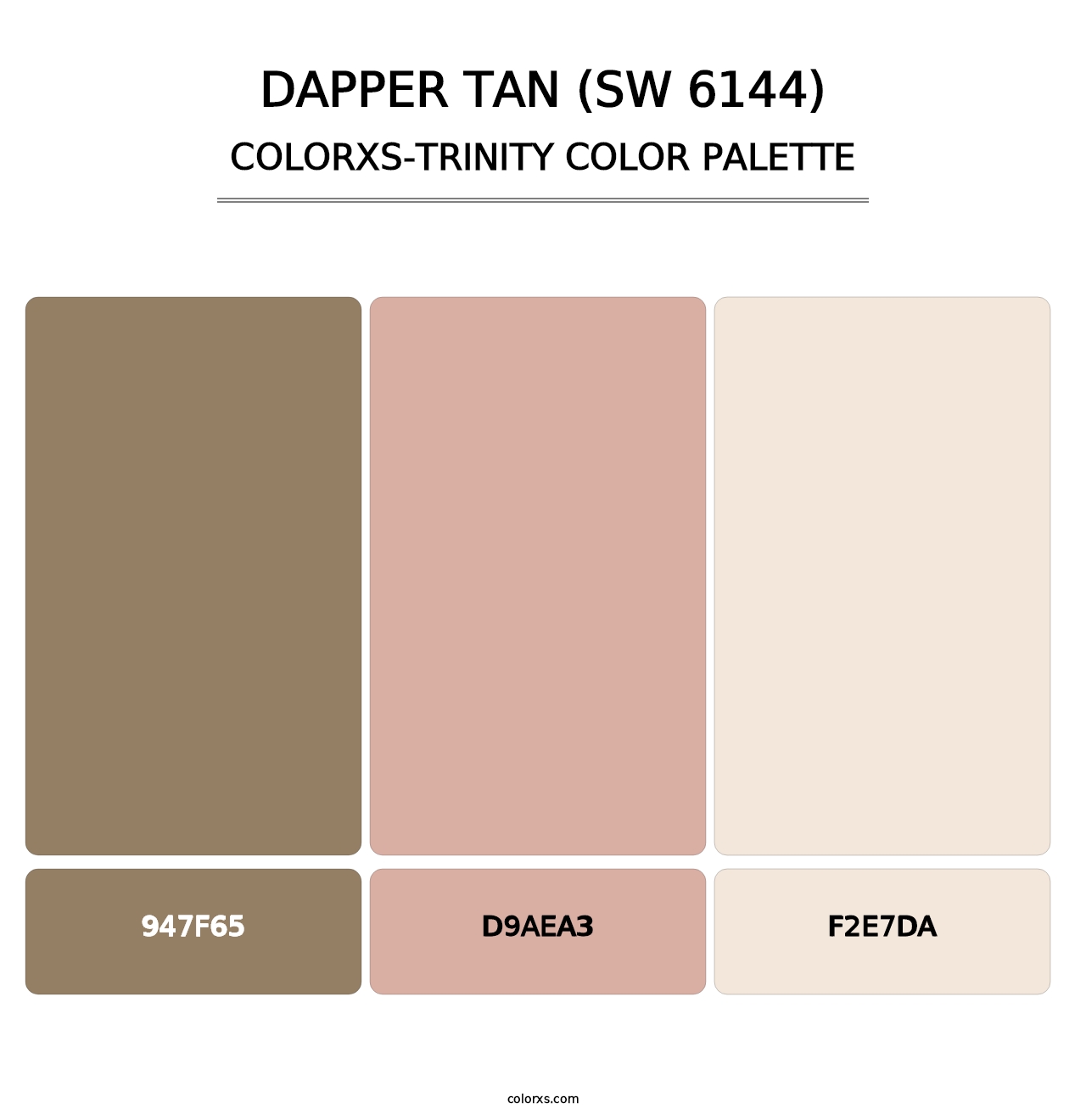 Dapper Tan (SW 6144) - Colorxs Trinity Palette