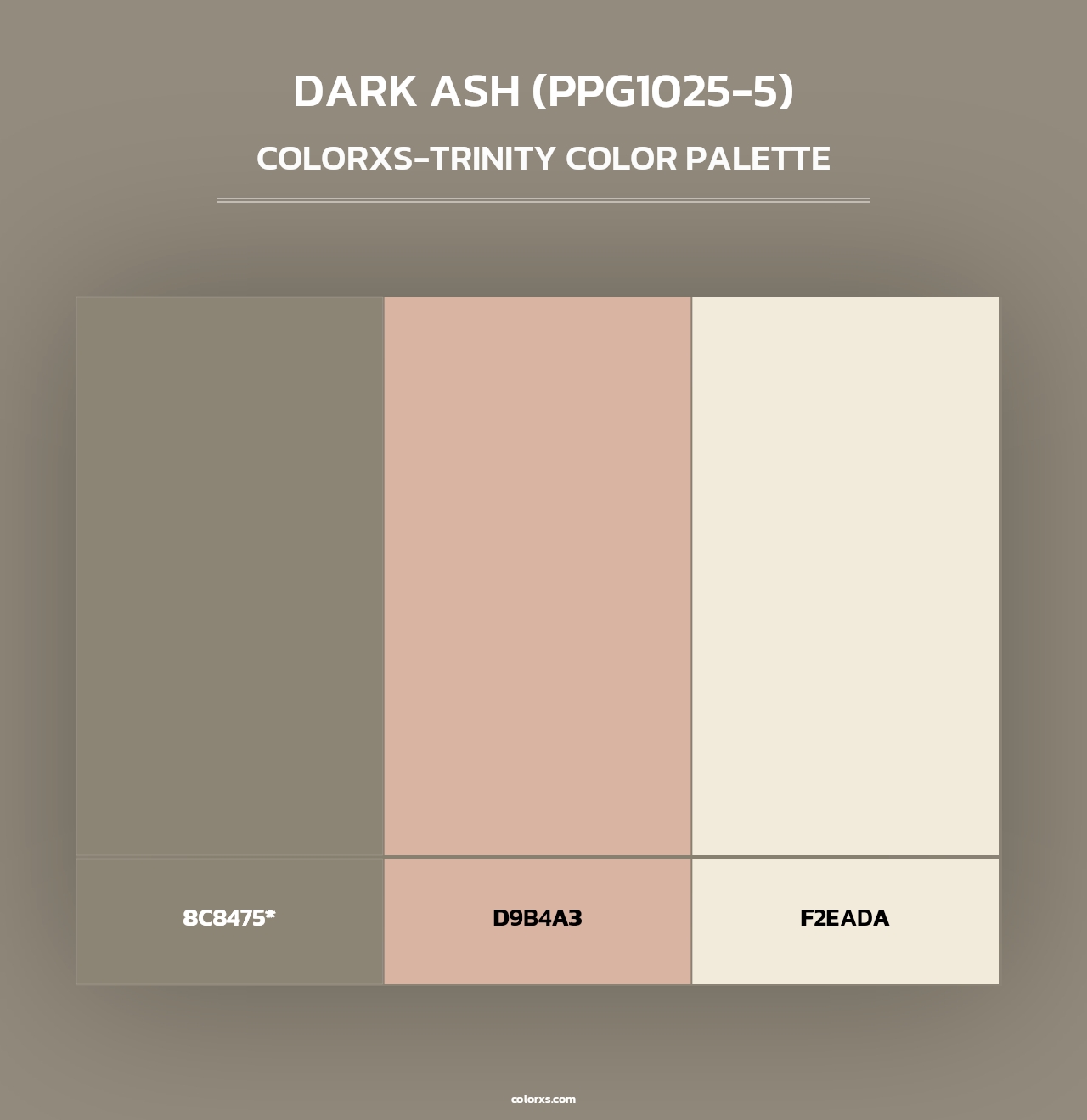 Dark Ash (PPG1025-5) - Colorxs Trinity Palette