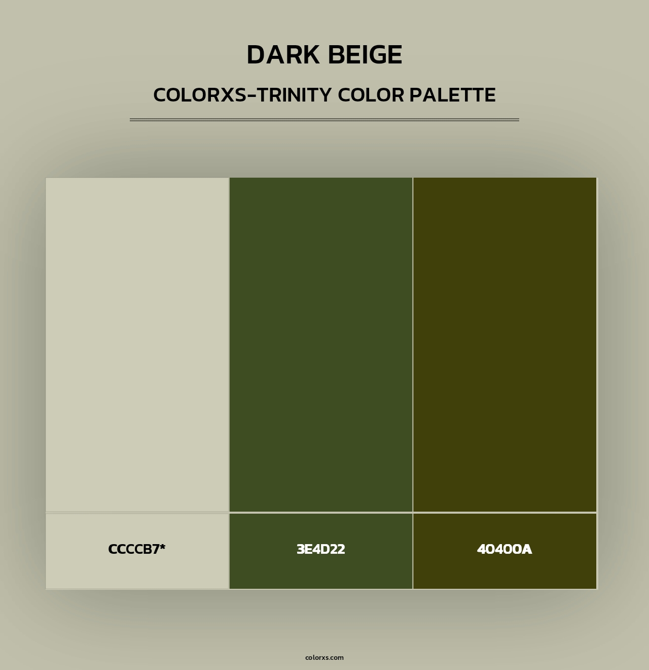 Dark Beige - Colorxs Trinity Palette