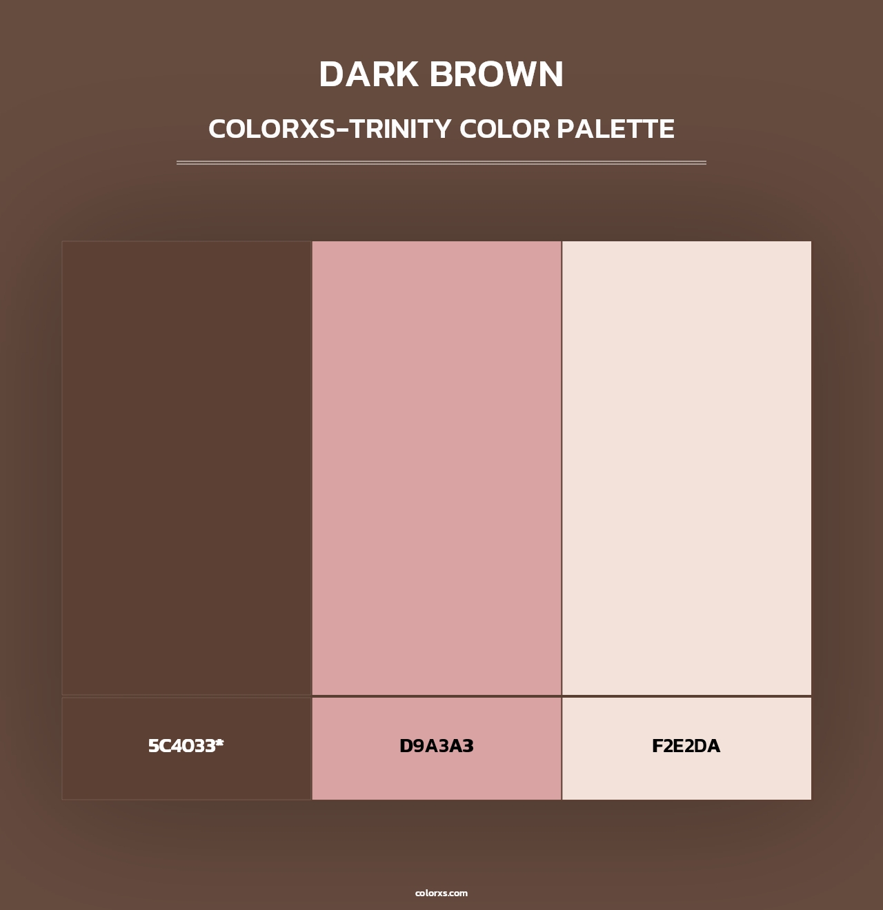 Dark Brown - Colorxs Trinity Palette