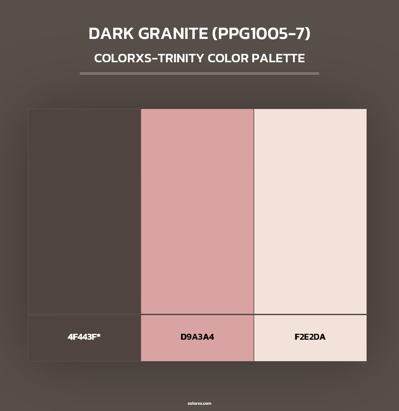 Dark Granite (PPG1005-7) - Colorxs Trinity Palette